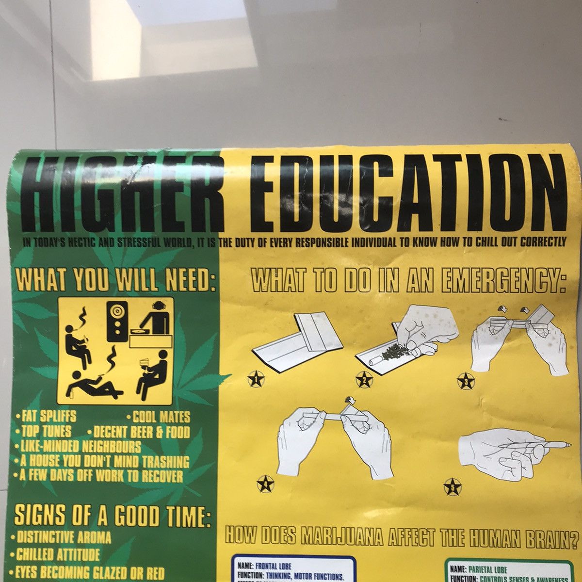 Hoodlamb × Hysteric Glamour Poster High Education Pot Weed Cannabis Marijuana made in Uk Size ONE SIZE - 11 Thumbnail