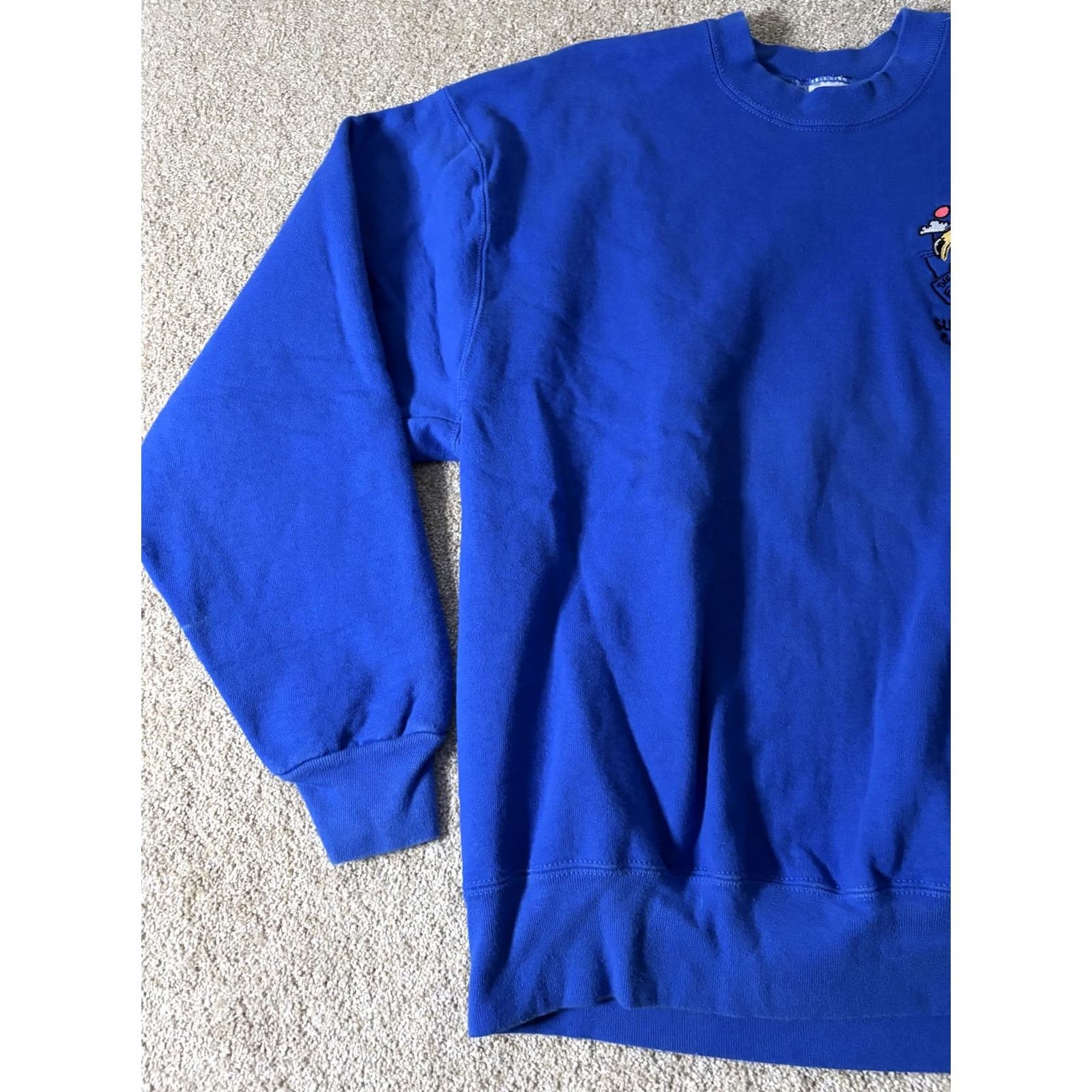 Fruit Of The Loom Fruit of the Loom Sweatshirt Mens Large Blue Flamingo Graphic Fleece Crewneck Size US L / EU 52-54 / 3 - 2 Thumbnail