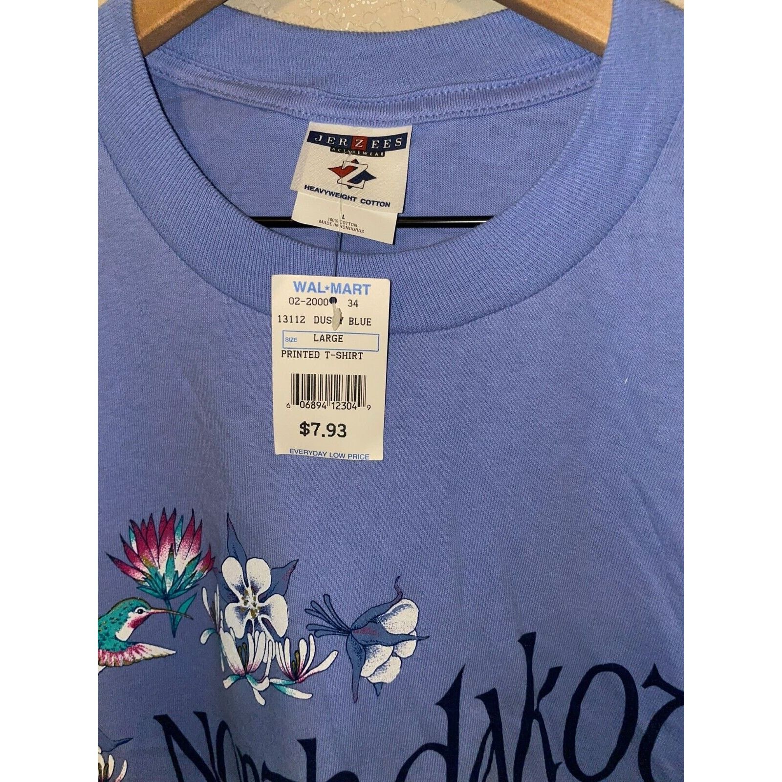 Jerzees Vintage North Dakota Shirt Mountain Hummingbird Tee 90s L Size US L / EU 52-54 / 3 - 9 Thumbnail