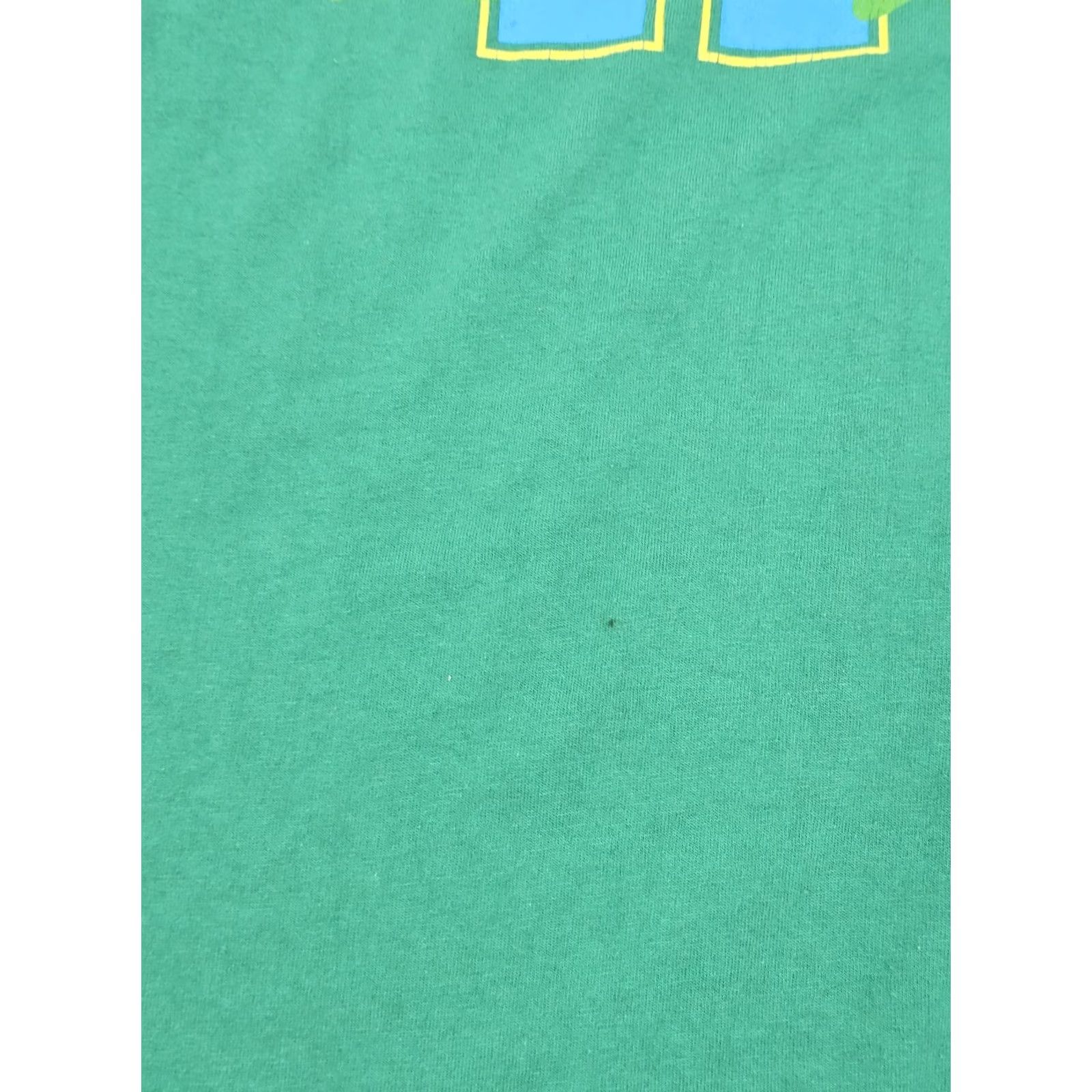 Hanes VINTAGE Allegheny College Gators Shirt Men XL Green Hanes 50/50 Heavyweight Graphic Tee Size US XL / EU 56 / 4 - 5 Thumbnail