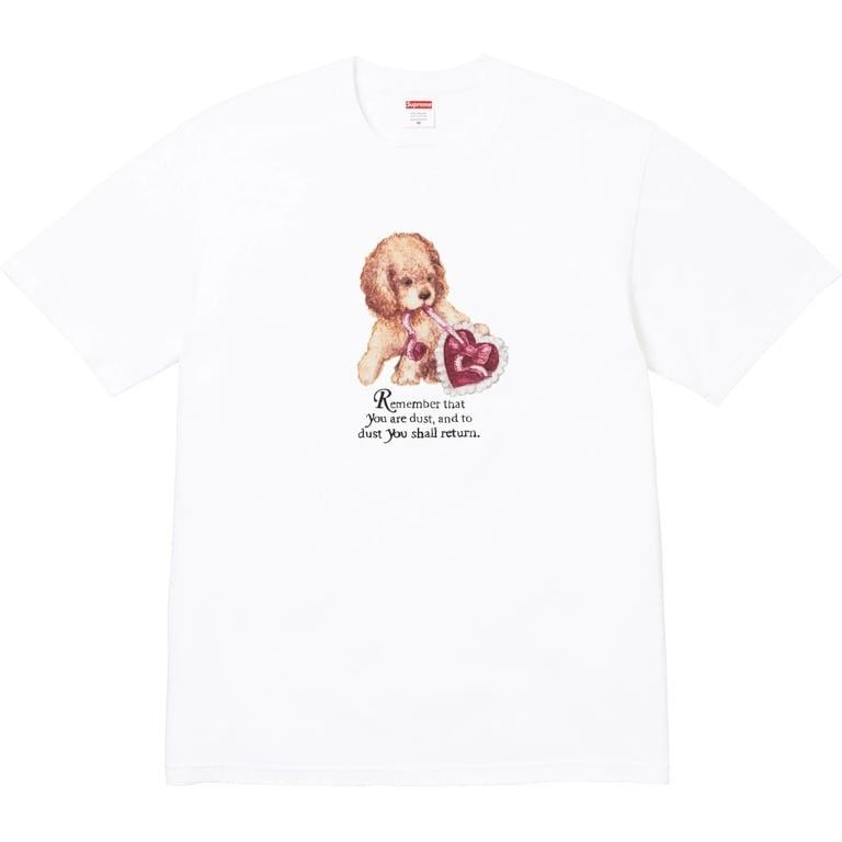 Supreme Supreme Dust Tee All Cotton T-Shirt in White FW25 Size XXL Size US XXL / EU 58 / 5 - 1 Thumbnail