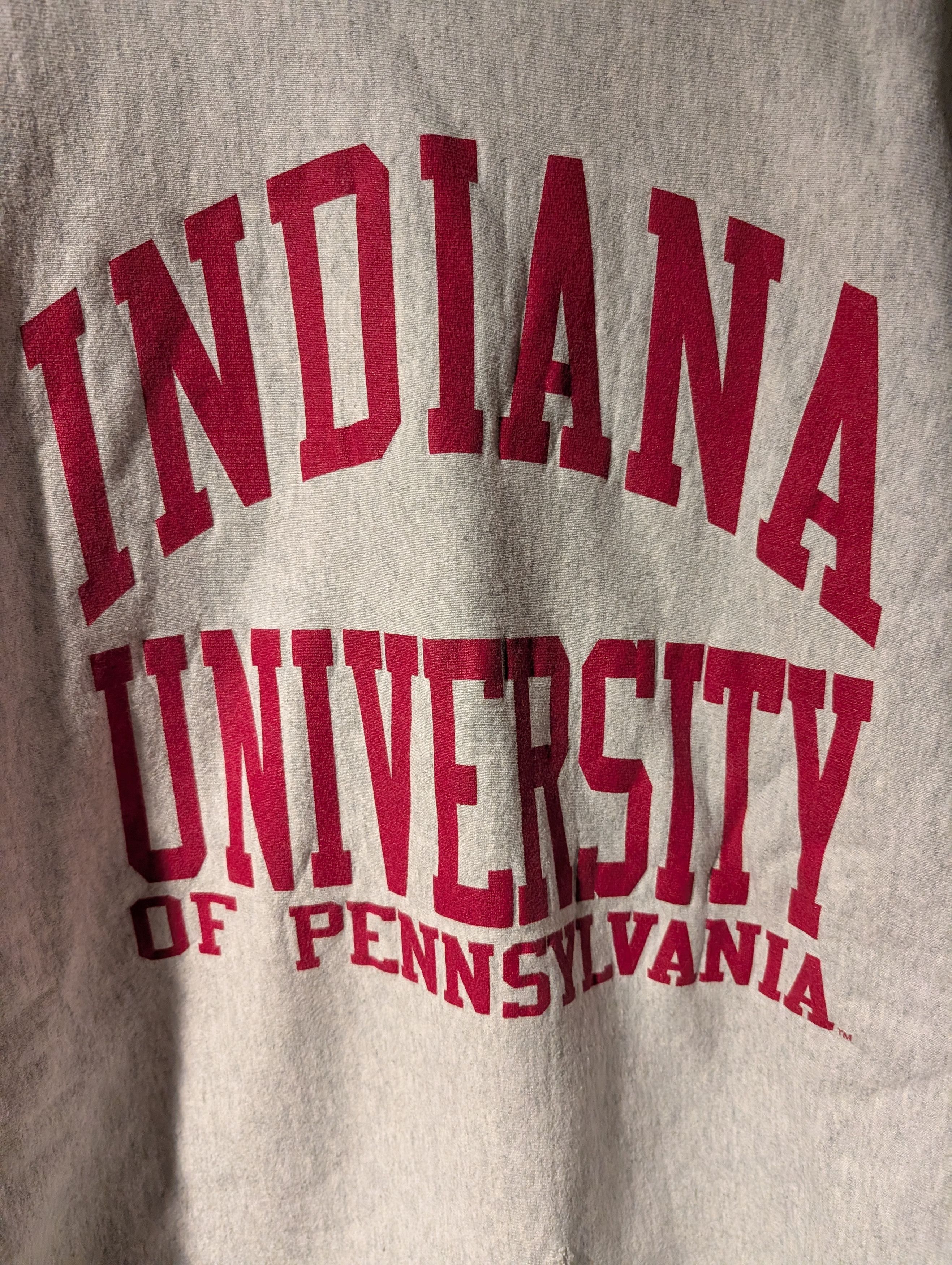 Champion VTG IUP Indiana University of Pennsylvania Sweatshirt XXL Size US XXL / EU 58 / 5 - 2 Thumbnail
