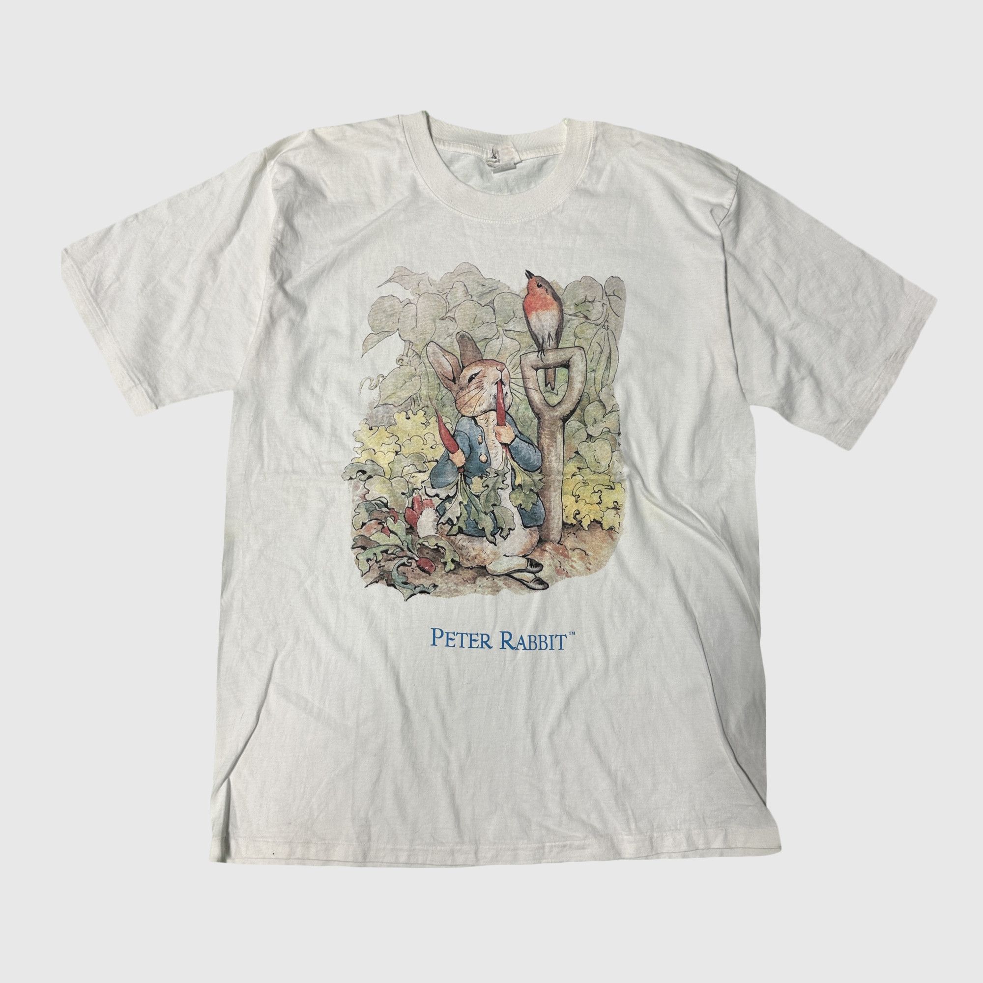 Jaded London Vintage Peter Rabbit Graphic T-Shirt Size XL Size US XL / EU 56 / 4 - 1 Thumbnail