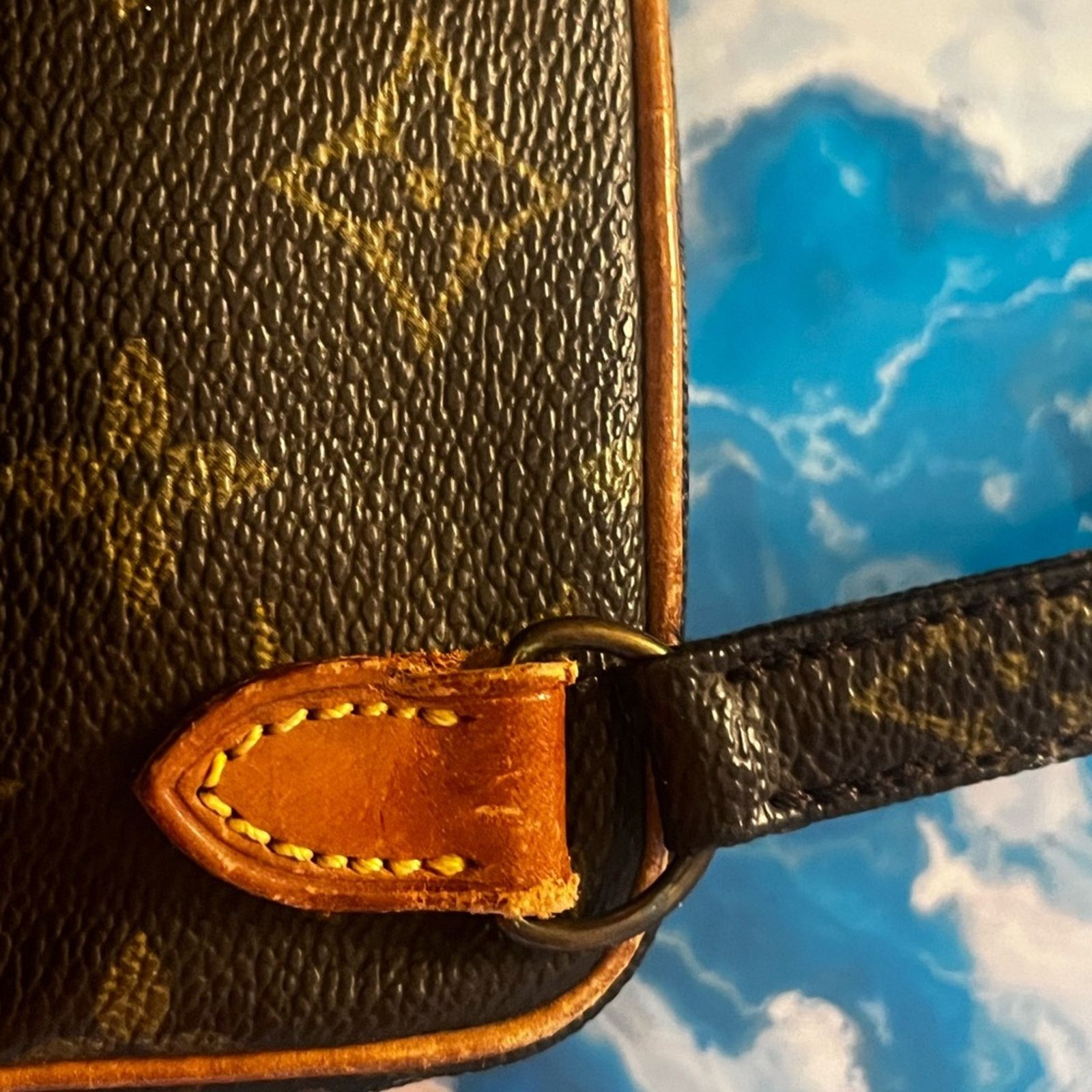 Louis Vuitton Louis Vuitton Amazone crossbody mini - EC, adjustable Size ONE SIZE - 9 Thumbnail