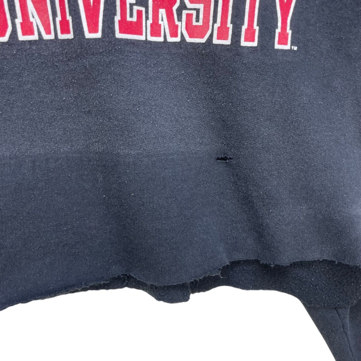 Champion 💥Vintage Champion State University Cropped Sweatshirt Size US XL / EU 56 / 4 - 4 Thumbnail