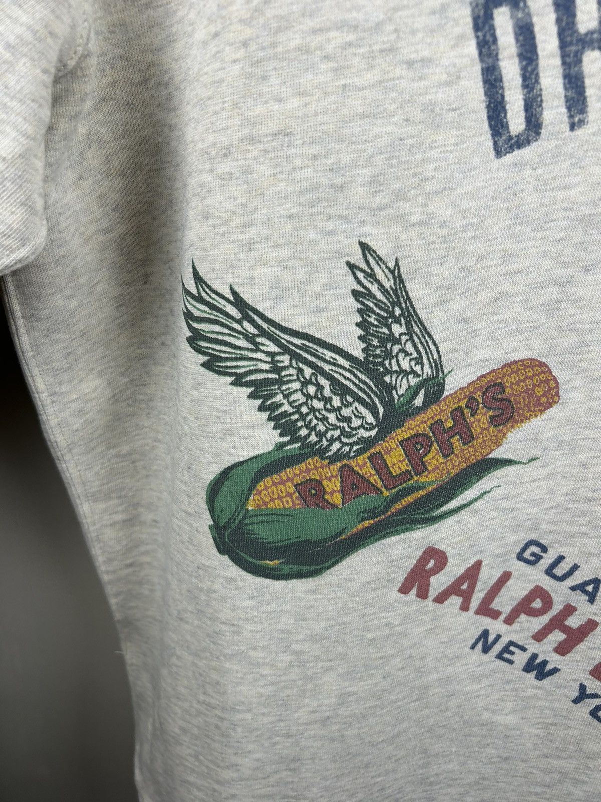 Polo Ralph Lauren Polo Ralph Lauren Saranac Lake Graphic Hoodie Size US XXL / EU 58 / 5 - 20 Thumbnail