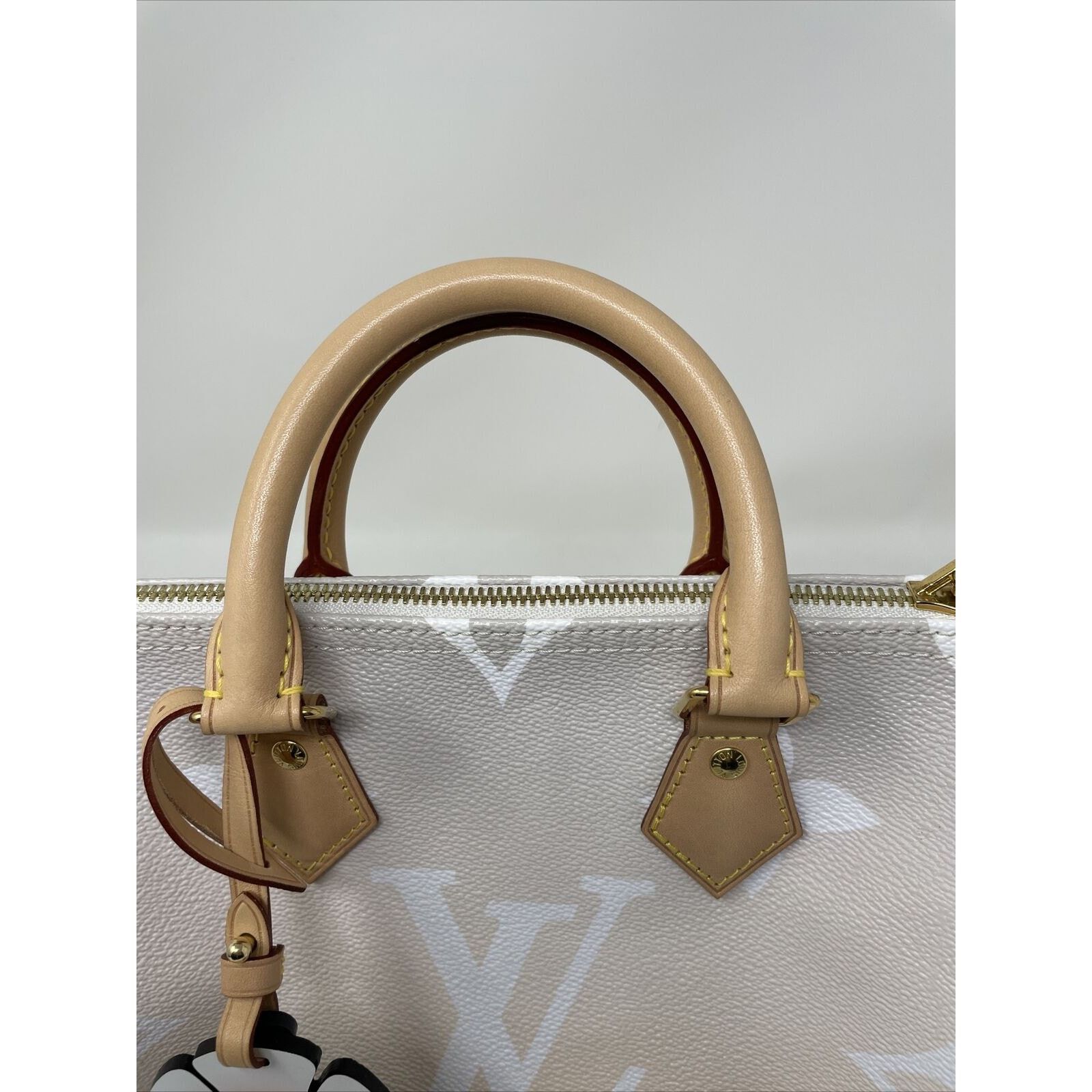 Louis Vuitton Louis Vuitton Speedy 25 Bandouliere By The Pool Brume Mist Size ONE SIZE - 15 Thumbnail