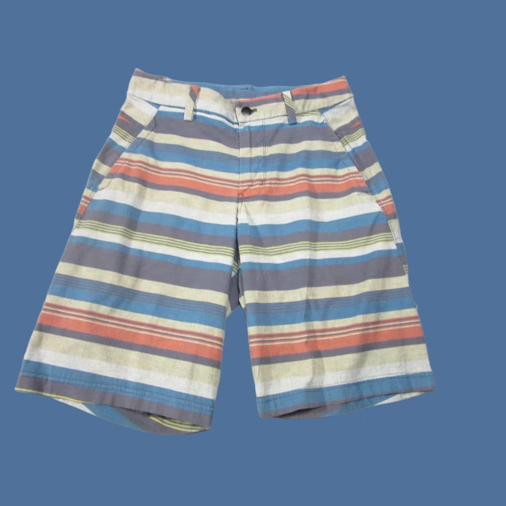 Lululemon Lululemon Shorts Mens 28 Multicolor Striped Casual Activewear Pockets Zip Fly Size US 28 / EU 44 - 1 Thumbnail