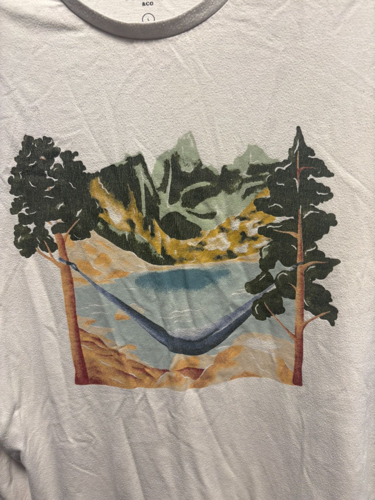 Other Goodfellow & Co Men's White Nature Graphic Crew Neck Tee L Size US L / EU 52-54 / 3 - 2 Thumbnail