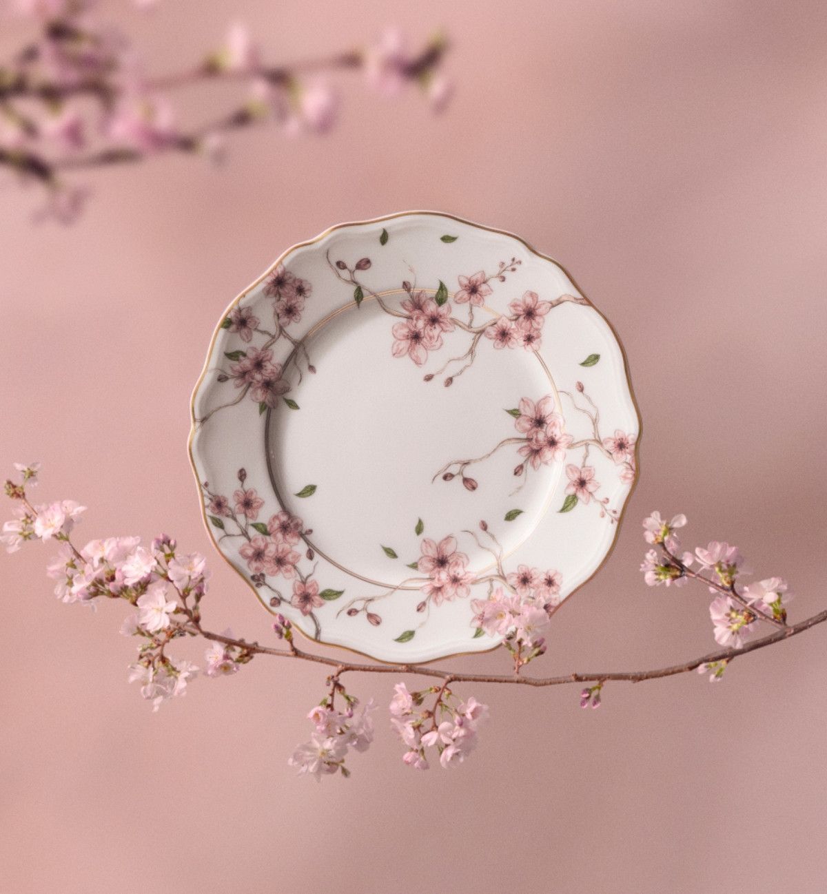 Dior o1bcso1str0226 Size:OS/Dessert Plate in Pink Size ONE SIZE - 4 Thumbnail