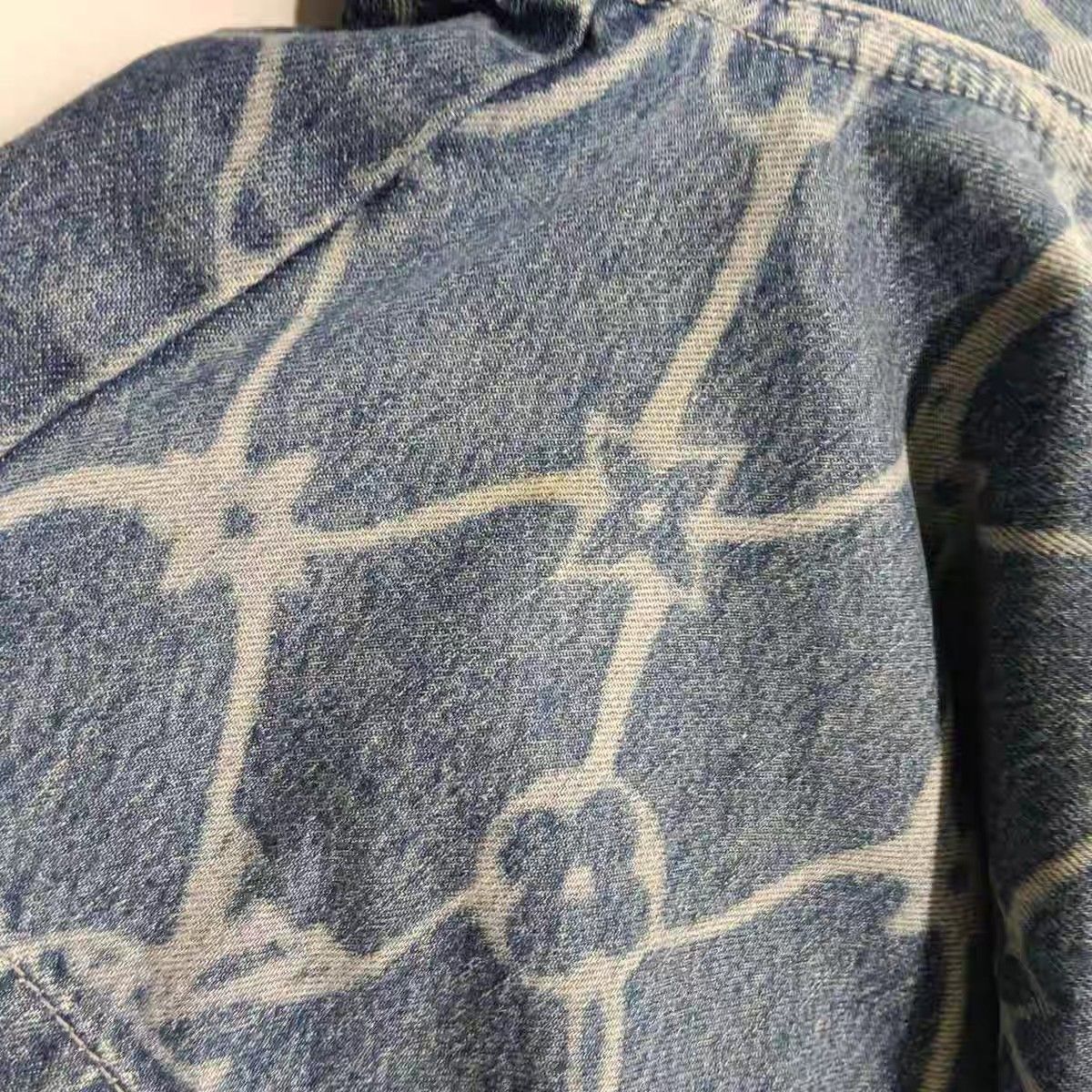 Louis Vuitton Fei Dong Full Print Denim Shorts