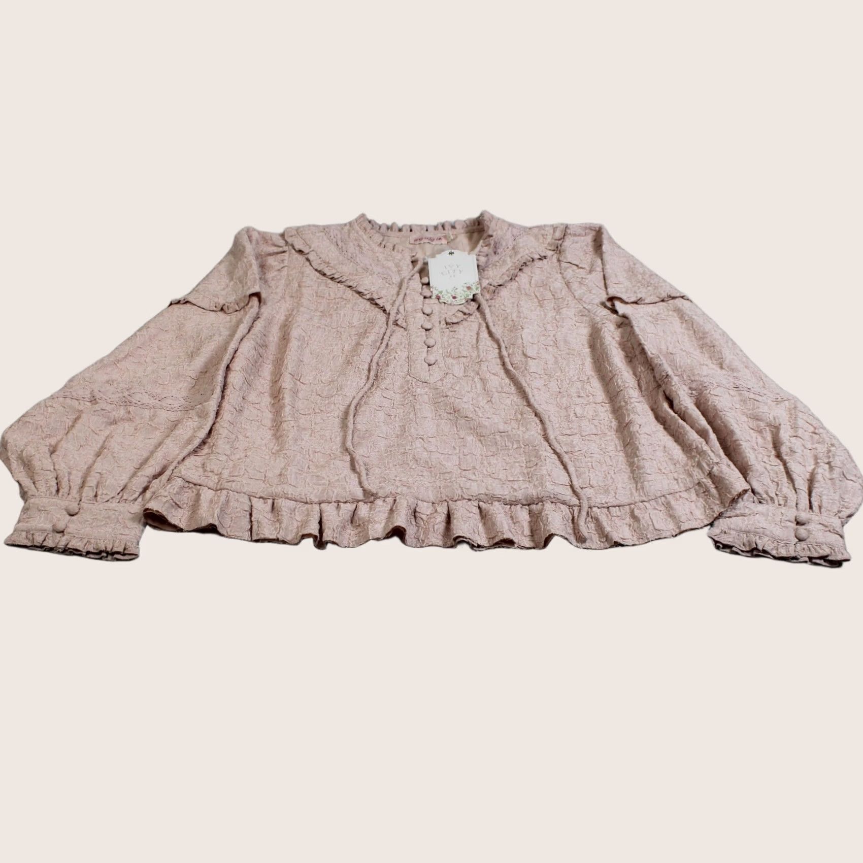 CO VINTAGE Ivy City Co Jace Shirt Women Large Pink Lace Ruffle Balloon Sleeve Boho Romantic Size L / US 10 / IT 46 - 1 Thumbnail