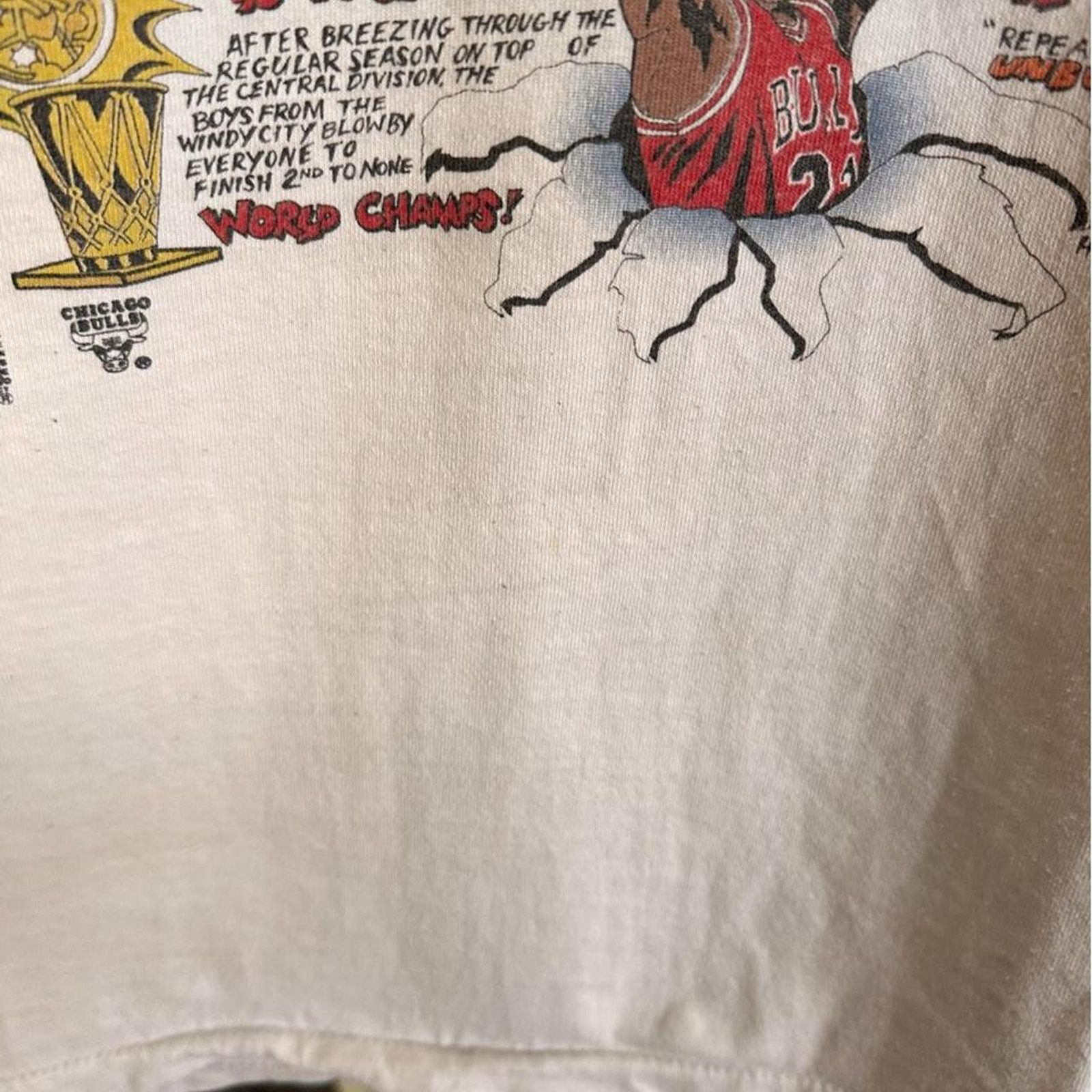 Salem Sportswear × Vintage Vintage 1993 Chicago Bulls Shirt Size US XL / EU 56 / 4 - 4 Thumbnail