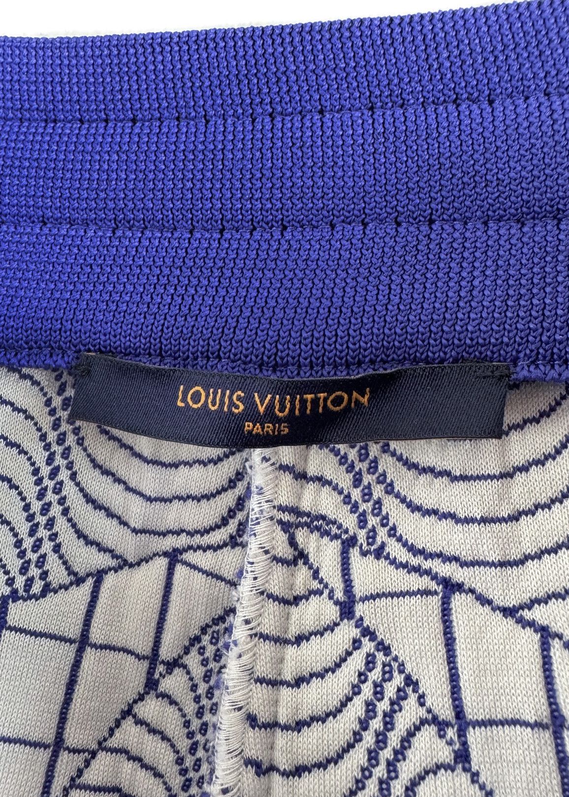 Louis Vuitton Louis Vuitton 2022 Blue Graphic Print Damier Jogger Short Size US 38 / EU 54 - 6 Thumbnail