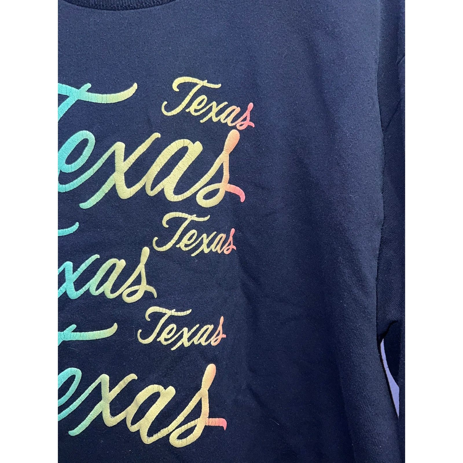 Jerzees Vintage Texas Sweatshirt Crewneck State Gradient 90s 1990s L Size US L / EU 52-54 / 3 - 4 Thumbnail