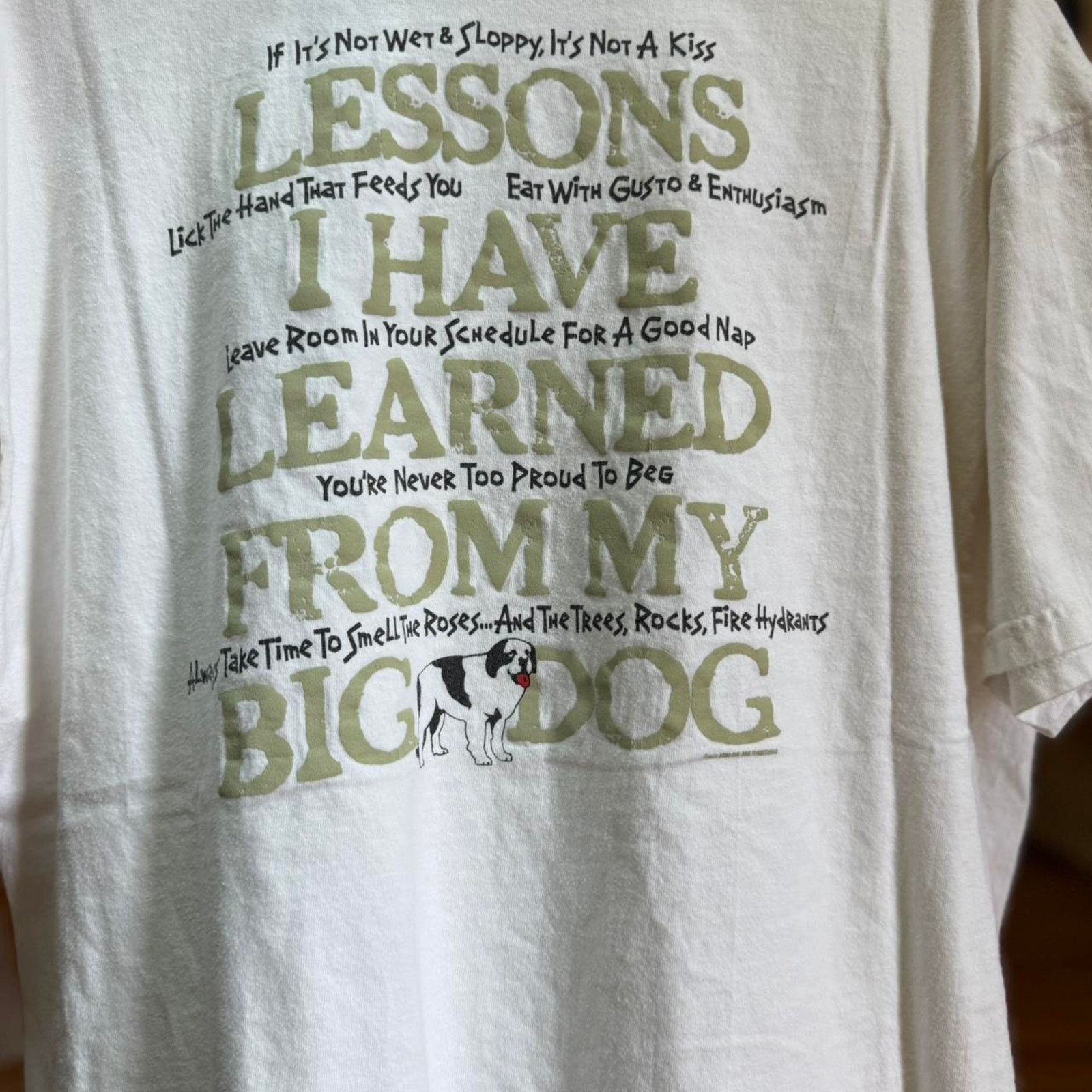 Big Dogs × Vintage Vintage 90s Big Dogs Lessons I Learned Animal T-Shirt Size US L / EU 52-54 / 3 - 6 Thumbnail