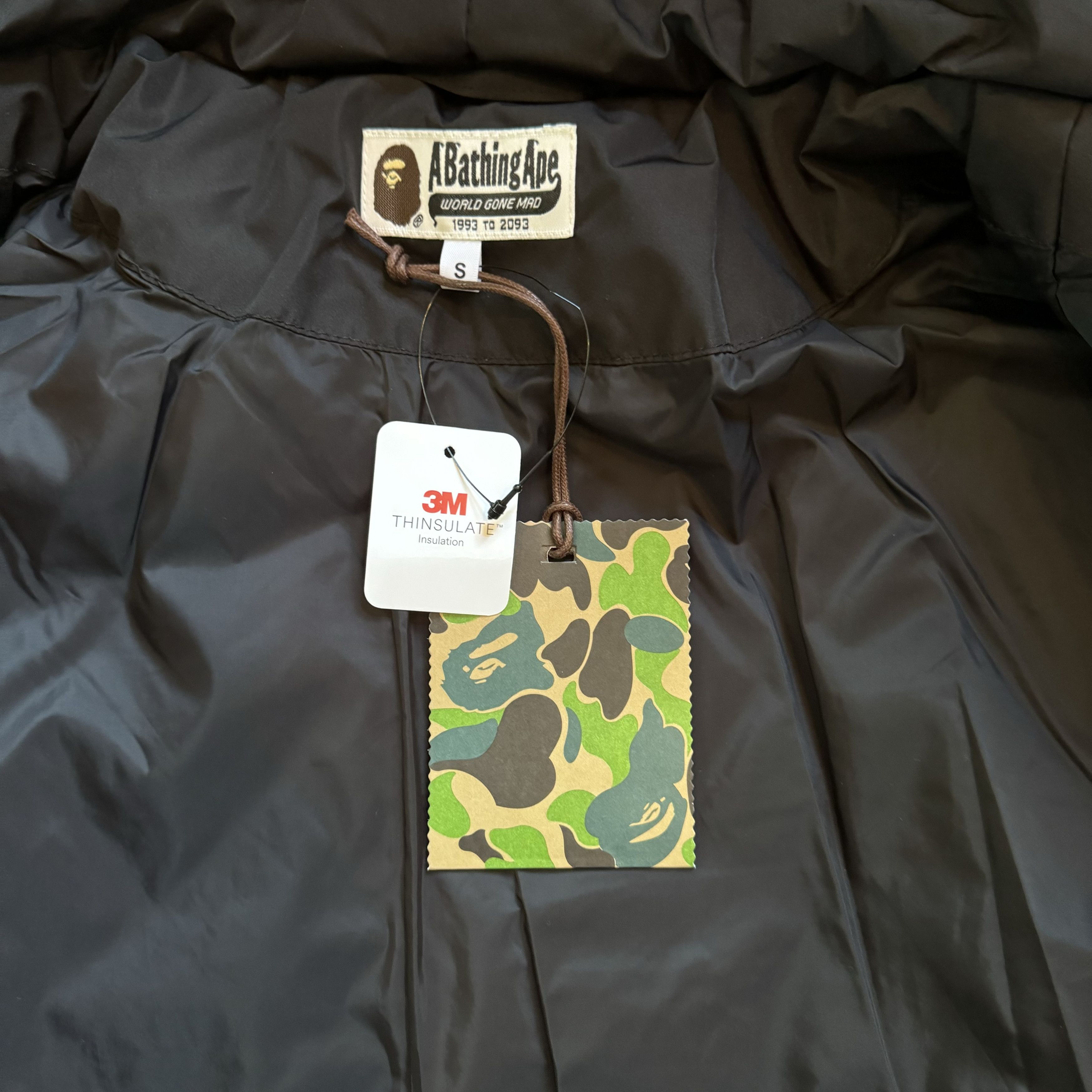 Shark Jacket
