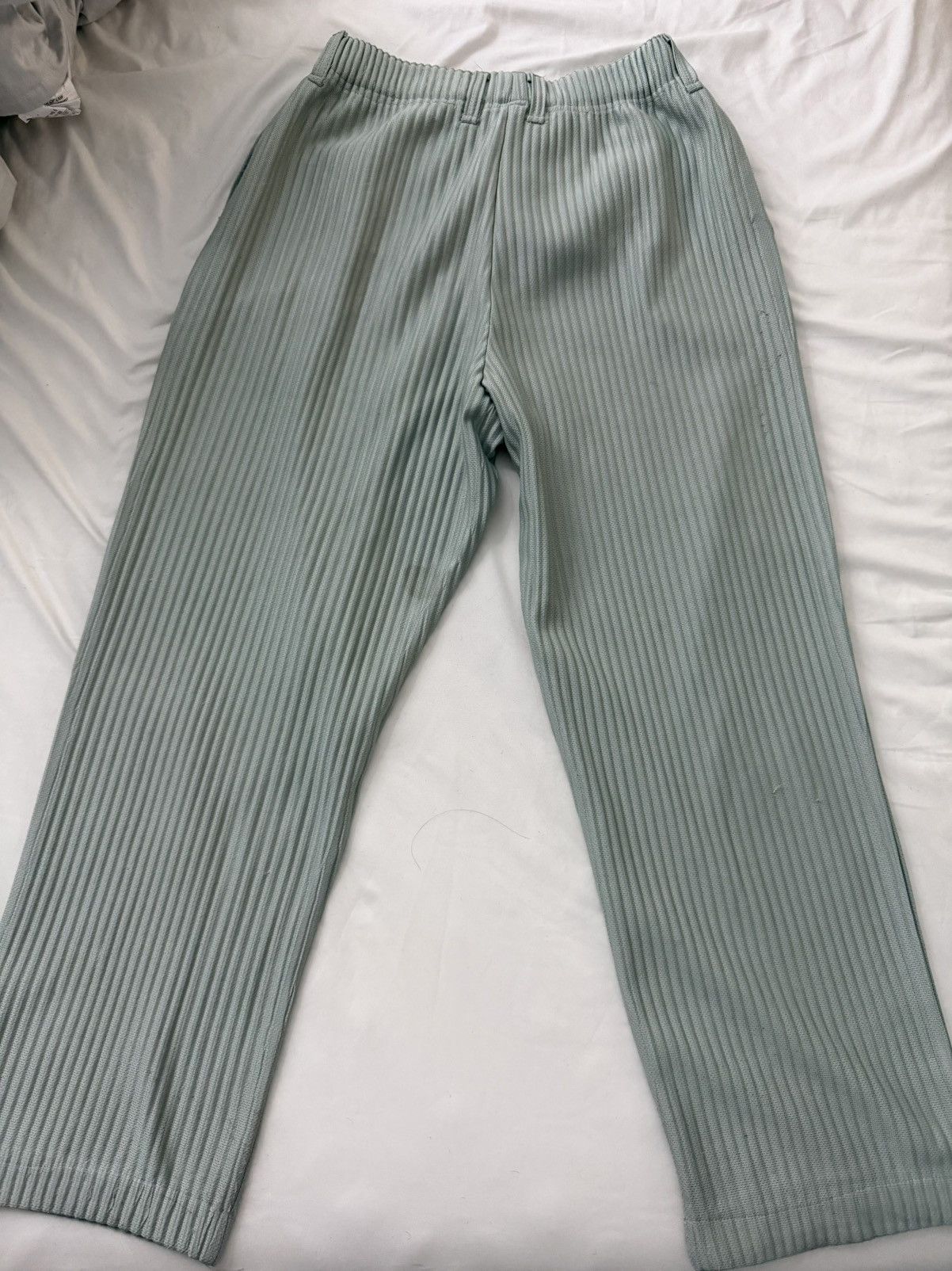 Issey Miyake Light gray Issey miyake pleats homme plisse pants Size US 30 / EU 46 - 6 Thumbnail