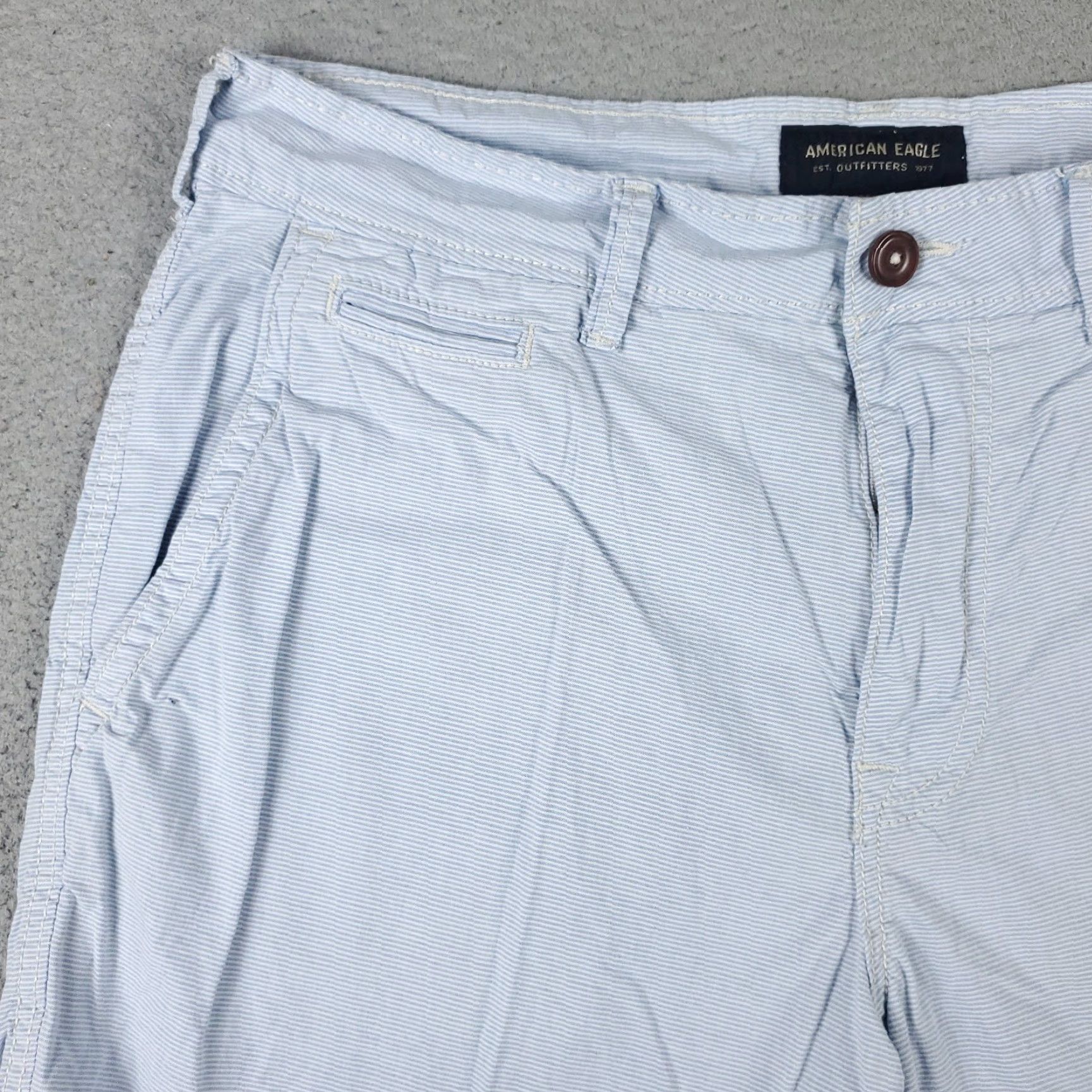American Eagle Outfitters VINTAGE American Eagle Shorts Mens Size 32 Blue Striped Cotton Blend Casual Flat Front Chino Men Size US 32 / EU 48 - 2 Thumbnail
