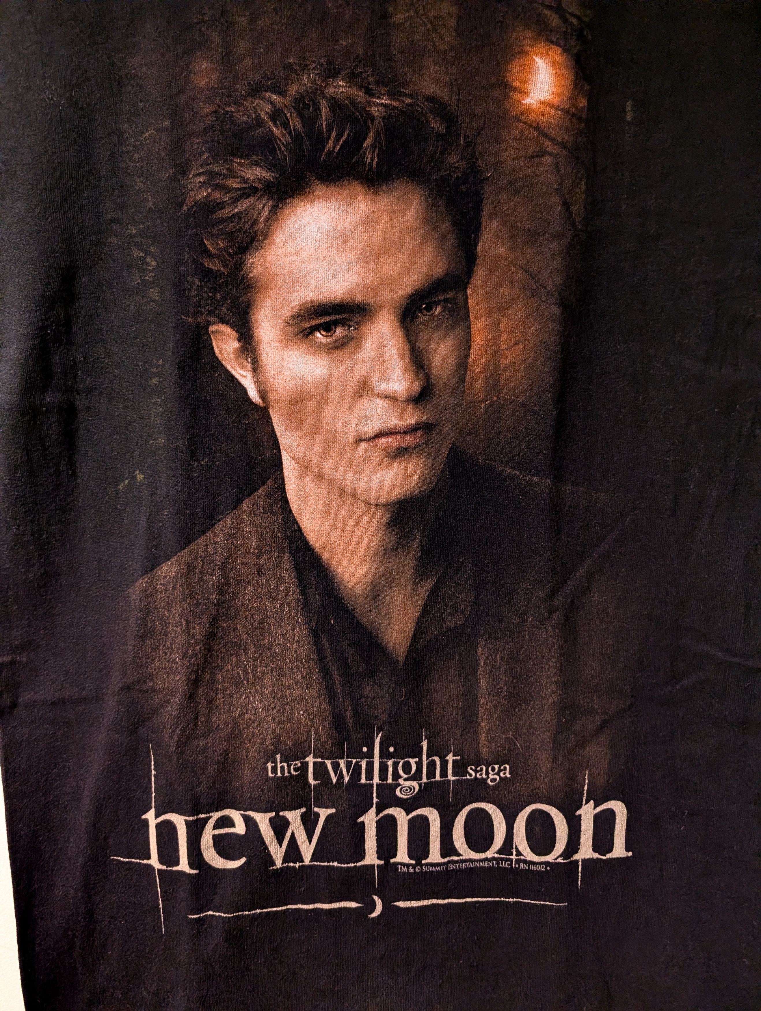 Anvil Y2K Twilight New Moon Edward Cullen Unisex Shirt Promo Size US S / EU 44-46 / 1 - 2 Thumbnail