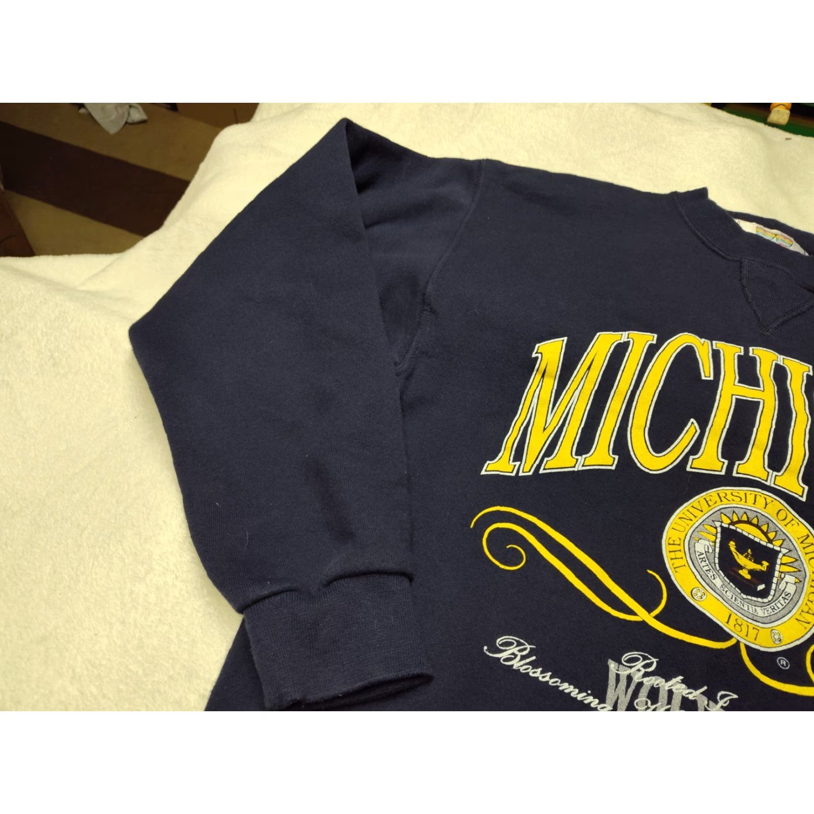 Vintage VINTAGE HVYWT 2020 Sweatshirt Minnesota Wolverines Seal Men M Blue Crew Neck Pullover 90s University College USA Mens Size US M / EU 48-50 / 2 - 3 Thumbnail