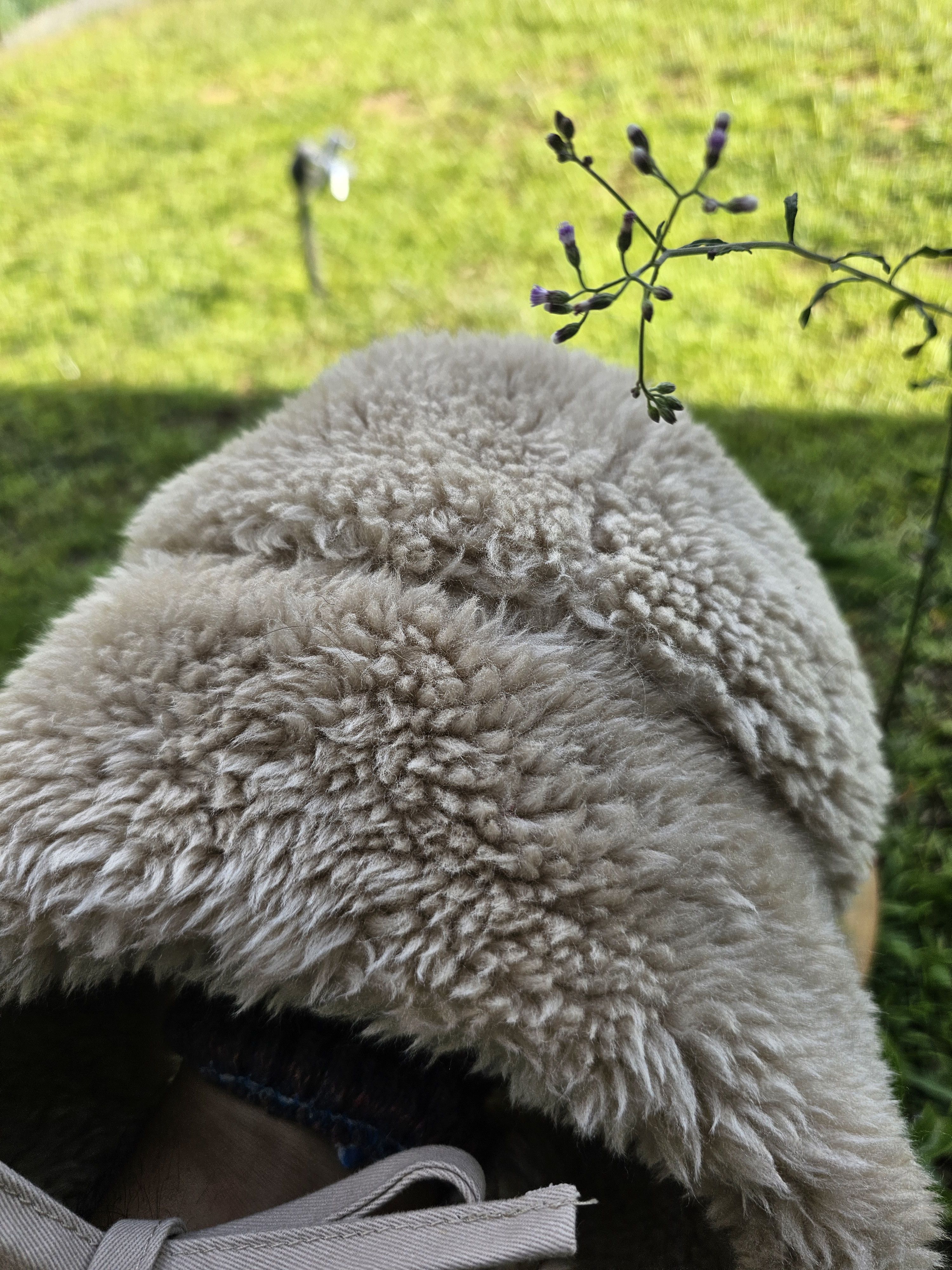 Japanese Brand Samansa Mos2 trapper fur hat Size ONE SIZE - 3 Thumbnail
