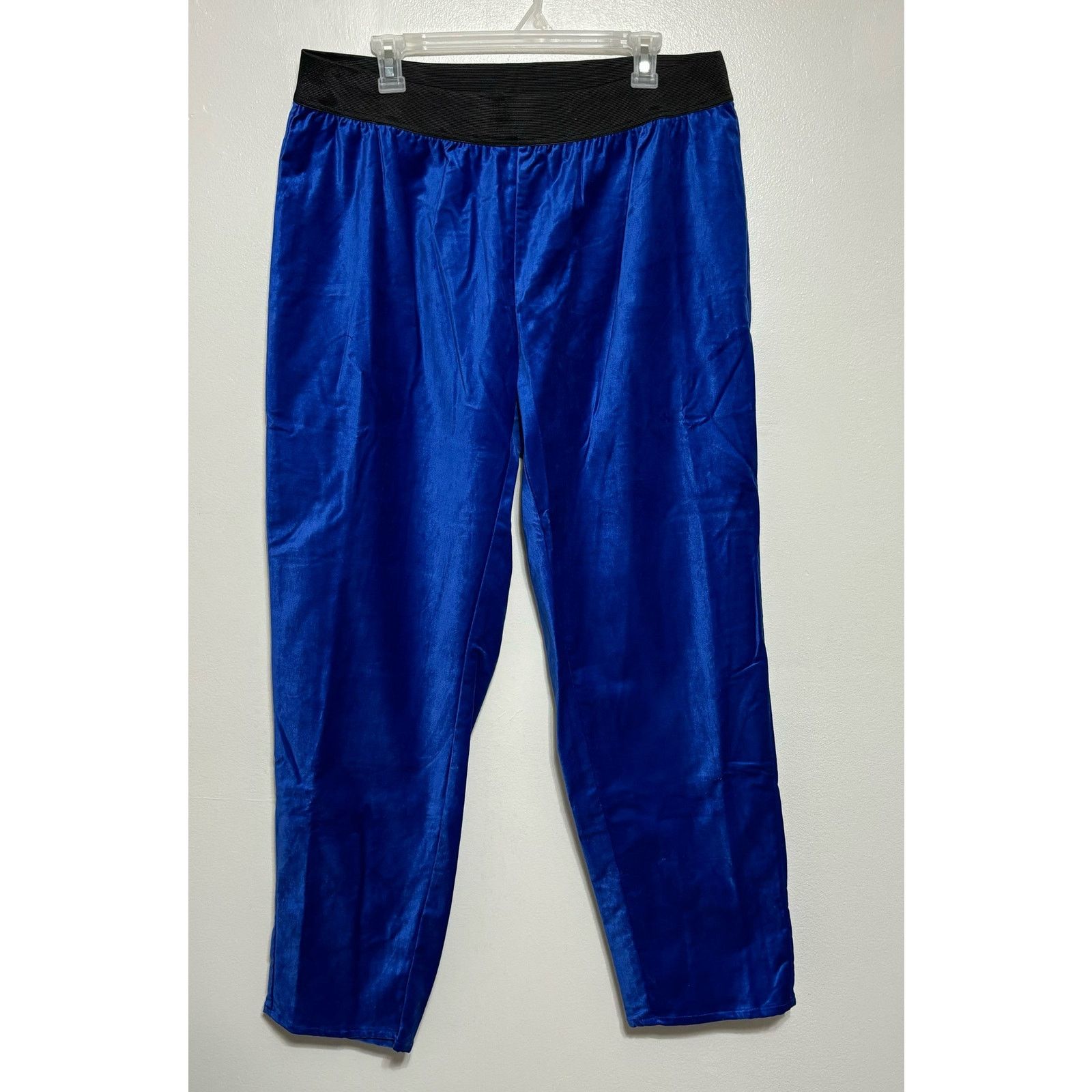 Other Woman Within Blue Velour Straight Leg Pants Size 20W Size 42" / US 20 - 1 Thumbnail