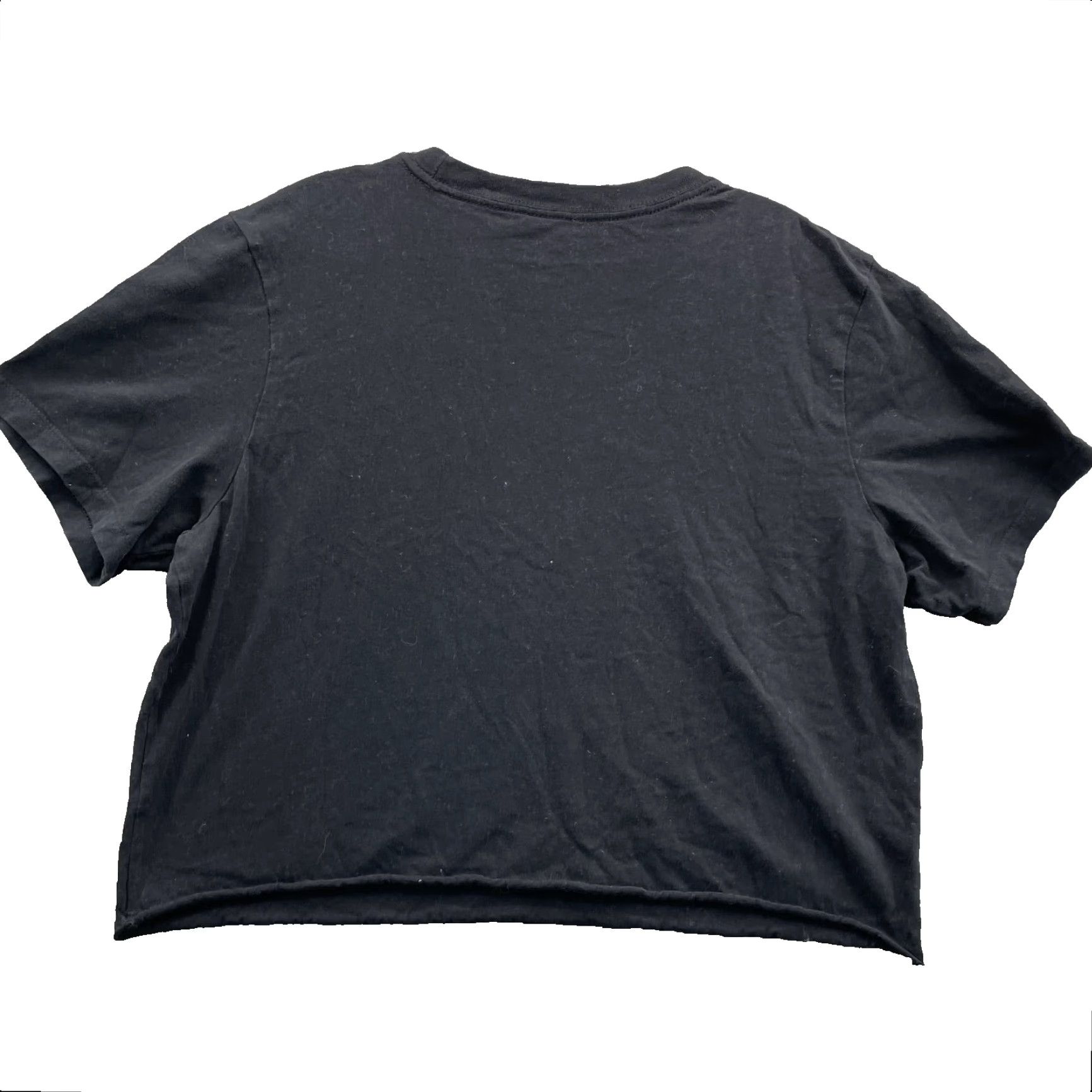 The North Face The North Face Tee Women Large Cropped Boxy Minimalist Gorpcore Sport Basic Outdoor Shirt Womens Black Cropped 90s Urban Outdoor Logo Shirt Size L / US 10 / IT 46 - 2 Thumbnail