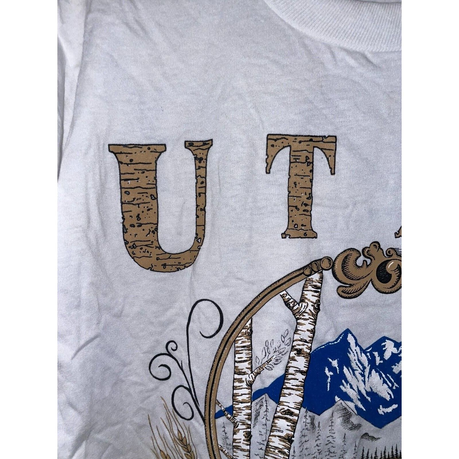 Jerzees Vintage Test Print Shirt Utah Mountain Nature White M Tee Size US M / EU 48-50 / 2 - 3 Thumbnail
