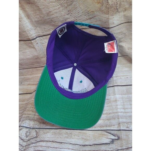 NHL Vtg Anaheim Mighty Ducks snapback hat cap Size ONE SIZE - 8 Thumbnail
