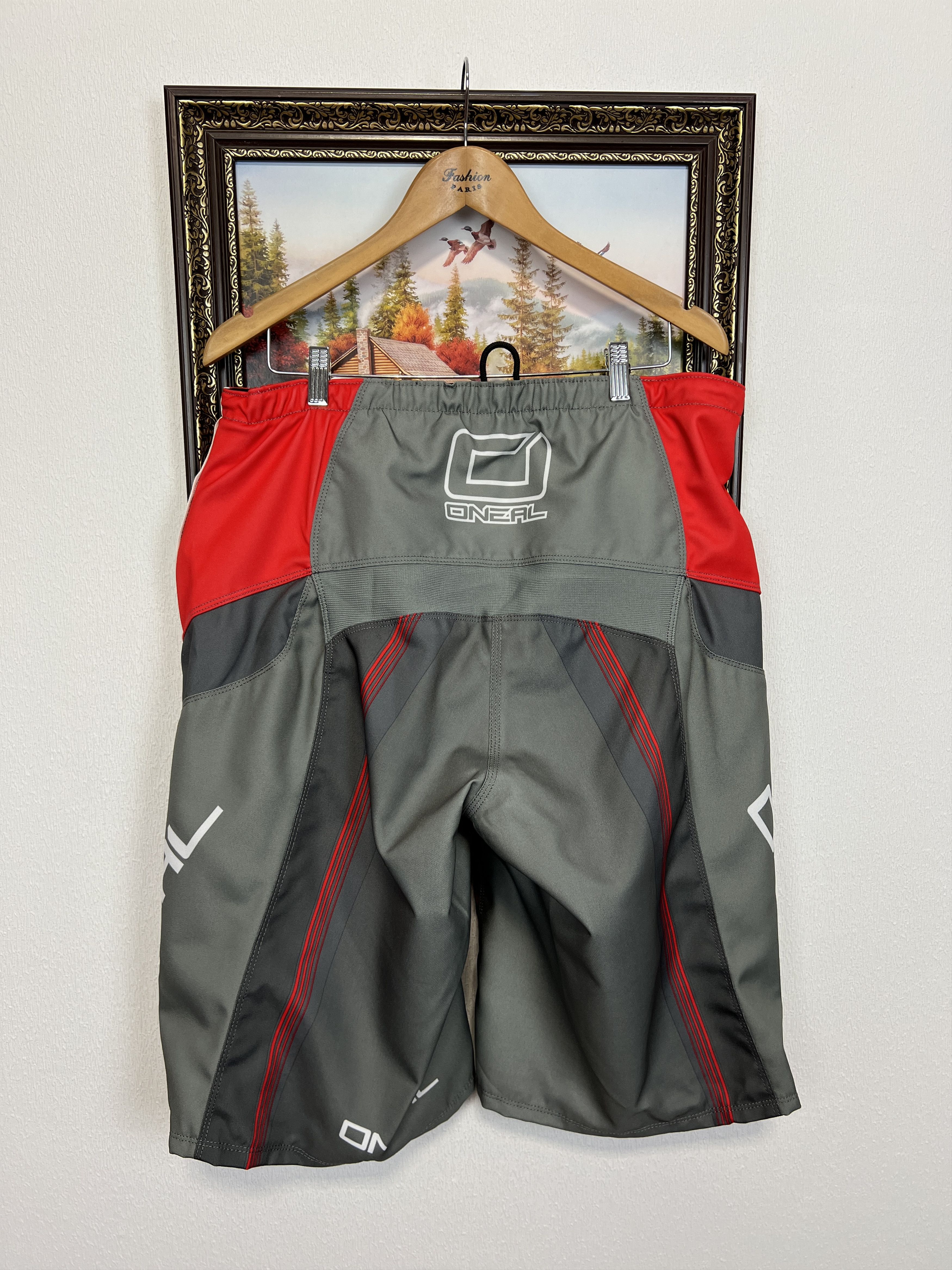 O'Neill Element FR Red Grey Shorts Racing Tech Ride Motobike Hype Size US 38 / EU 54 - 11 Thumbnail