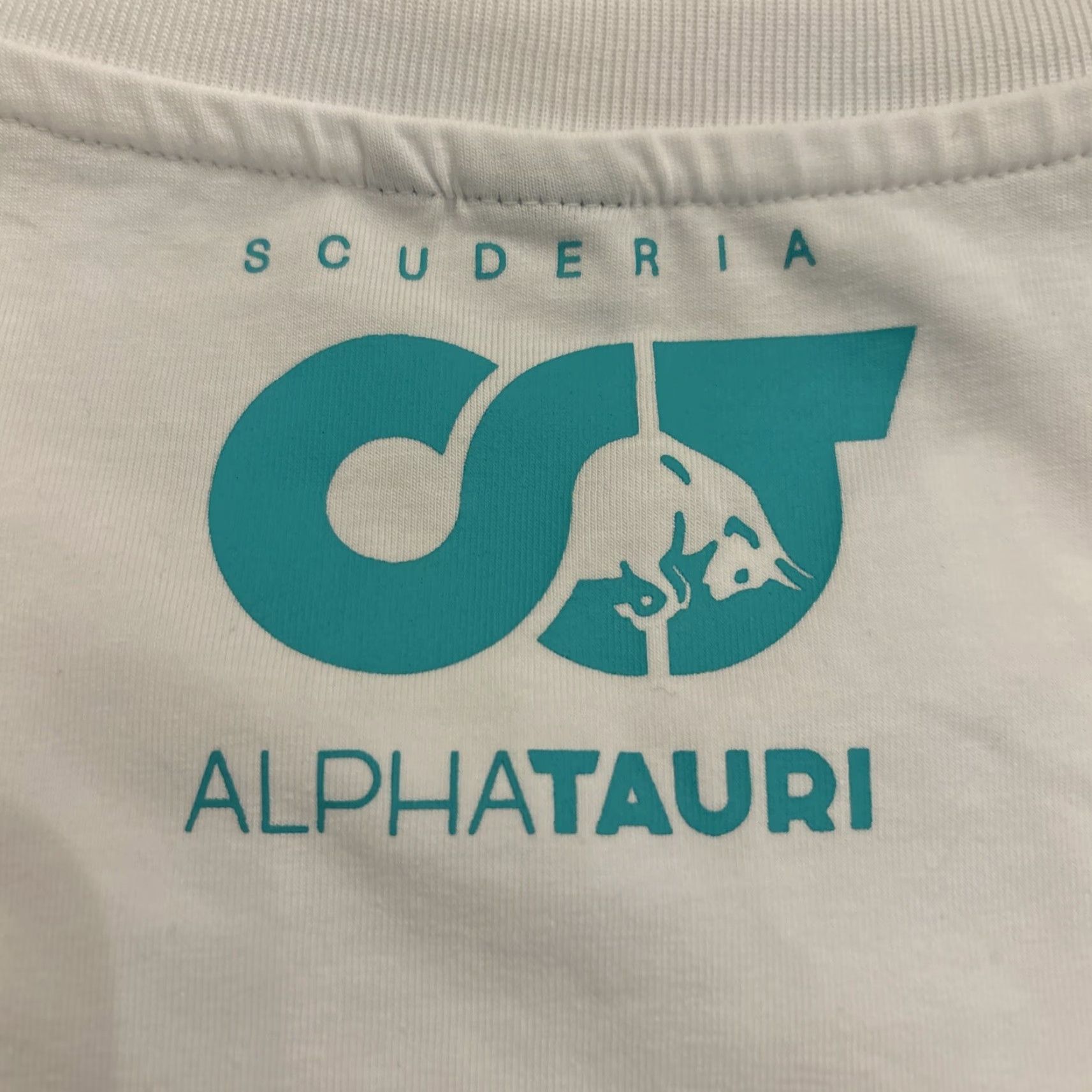 Vintage ALPHA Scuderia Alpha Taurus F1 T-Shirt Men's Large White Size US L / EU 52-54 / 3 - 5 Thumbnail
