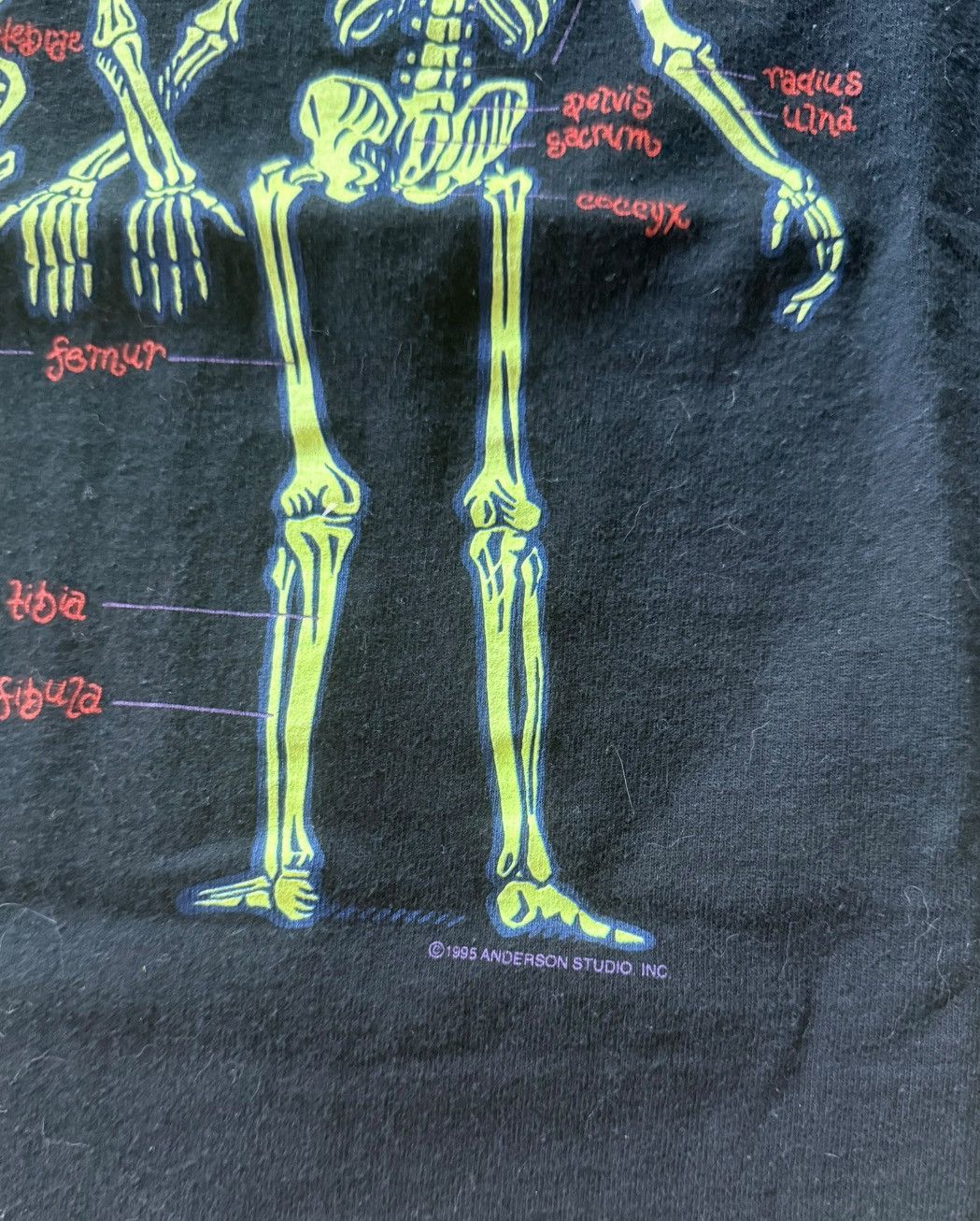 Other Vtg 1995 The Bones Skeleton Children’s Museum Medium Shirt Size US M / EU 48-50 / 2 - 2 Thumbnail