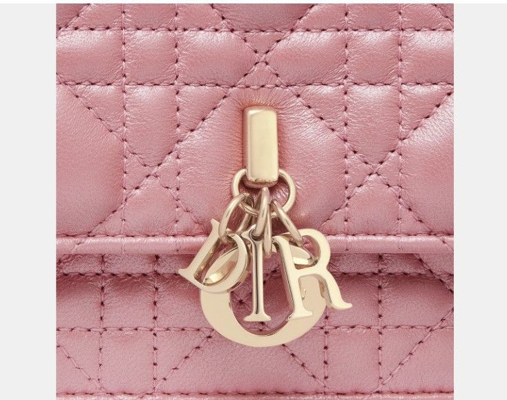 Dior o1w1db11124 Size: OS / Mini Bag in Pink Size ONE SIZE - 6 Thumbnail