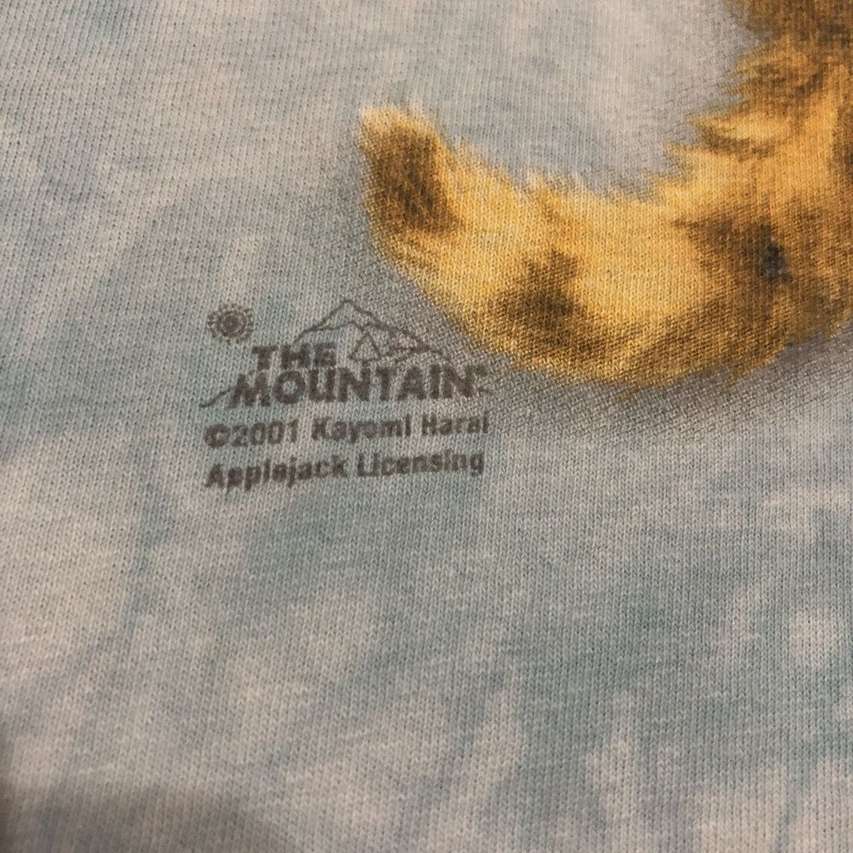 The Mountain × Vintage 2001 The Mountain Dyed & Printed In Usa Shirt Size US XL / EU 56 / 4 - 3 Thumbnail