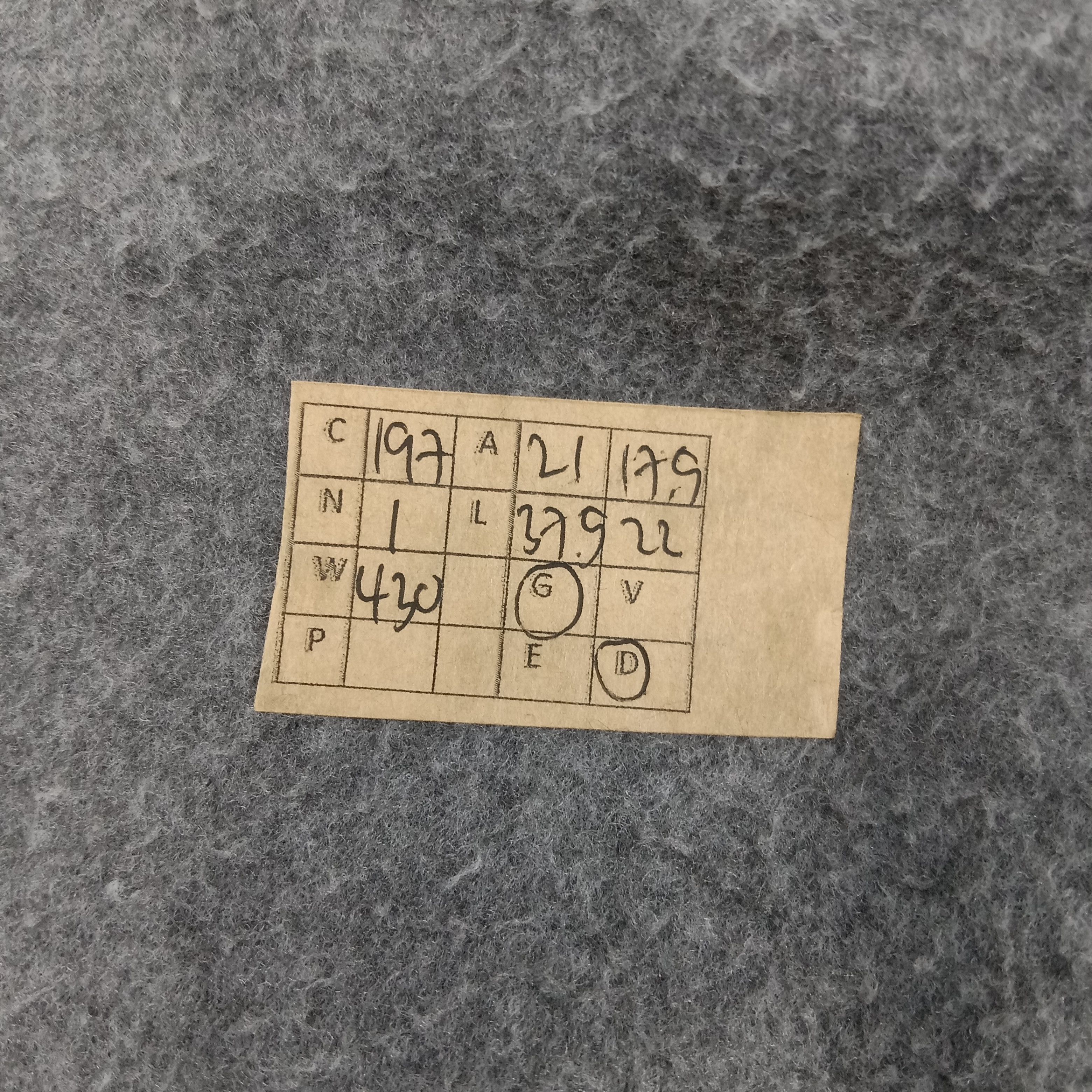 Issey Miyake × Vintage Plantation by Issey Miyake Fleece Outdoor Jacket Size US M / EU 48-50 / 2 - 10 Thumbnail