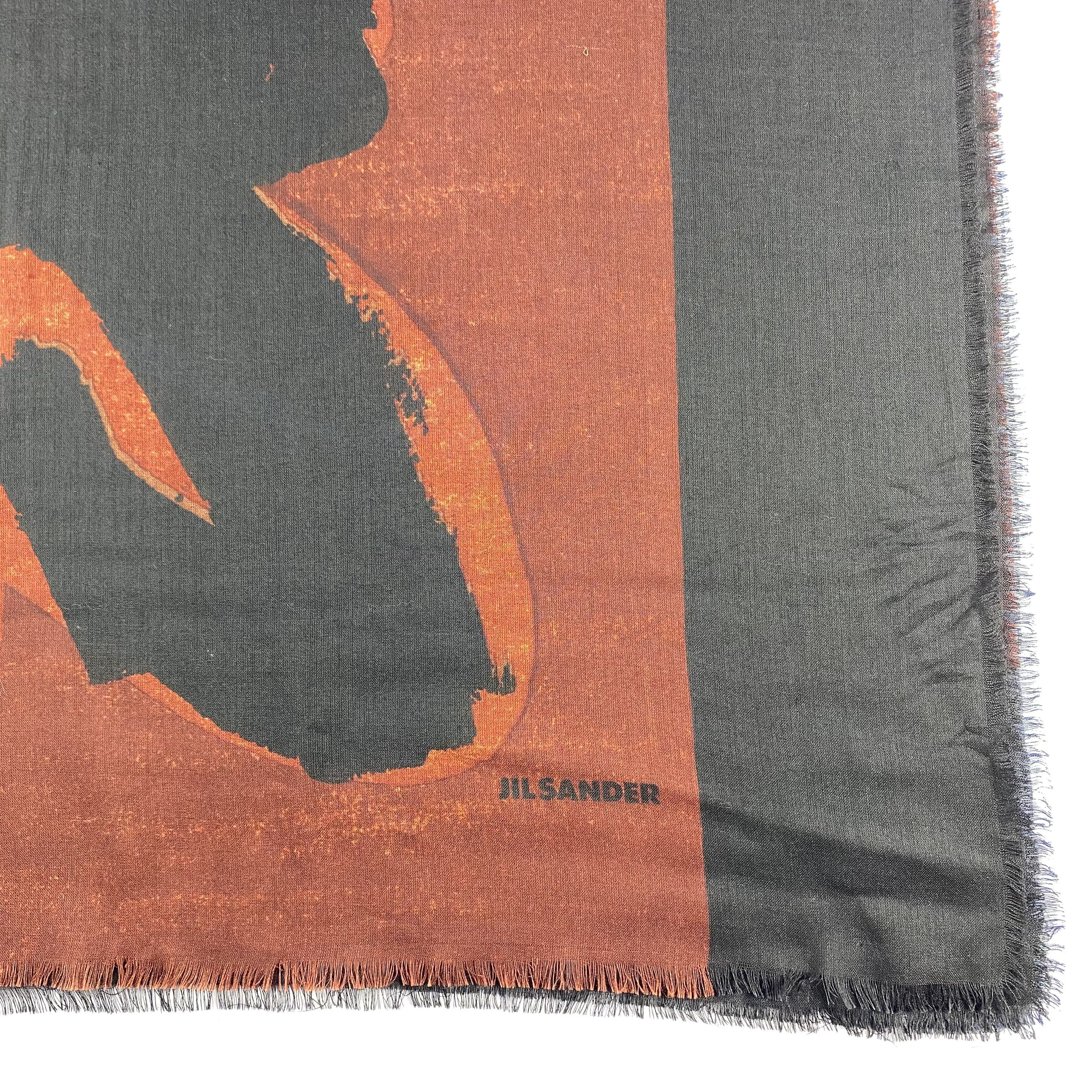 Jil Sander Jil Sander Scarf Neck Wrap Cashmere Muffler Size ONE SIZE - 3 Thumbnail