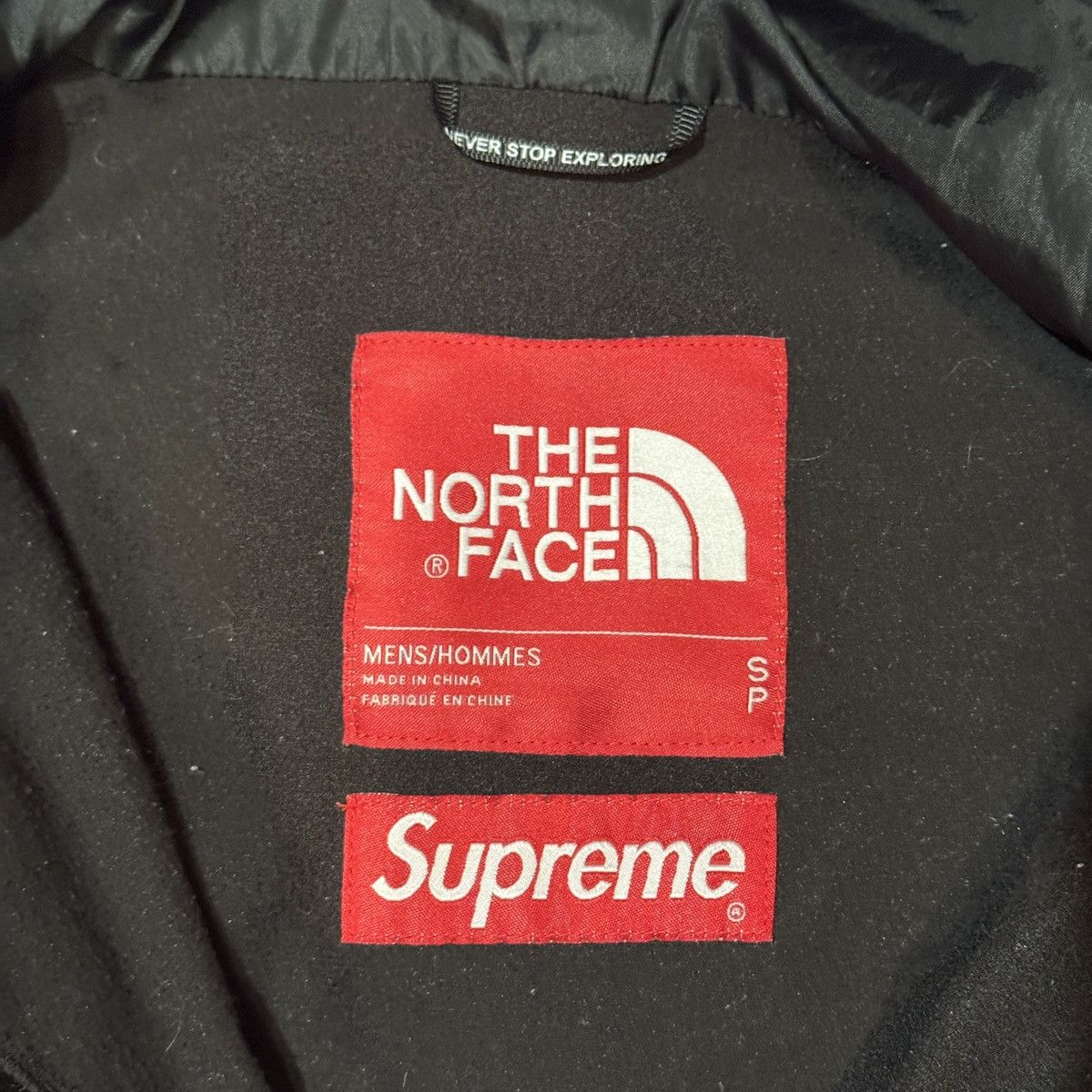Supreme SUPREME THE NORTH FACE MOUNTAIN LIGHT JACKET LEAVES CAMO Size US S / EU 44-46 / 1 - 5 Thumbnail