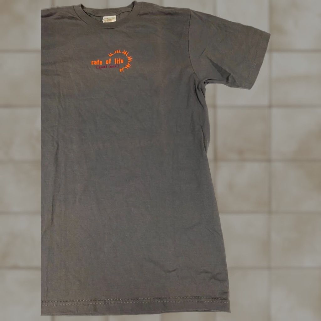 Anvil Grant Park Mens Shirt Medium Anvil T-Shirt Gray Cotton Spandex Short Sleeve Henley Logo Peanuts Classic Vintage: No Mens Size US M / EU 48-50 / 2 - 1 Thumbnail