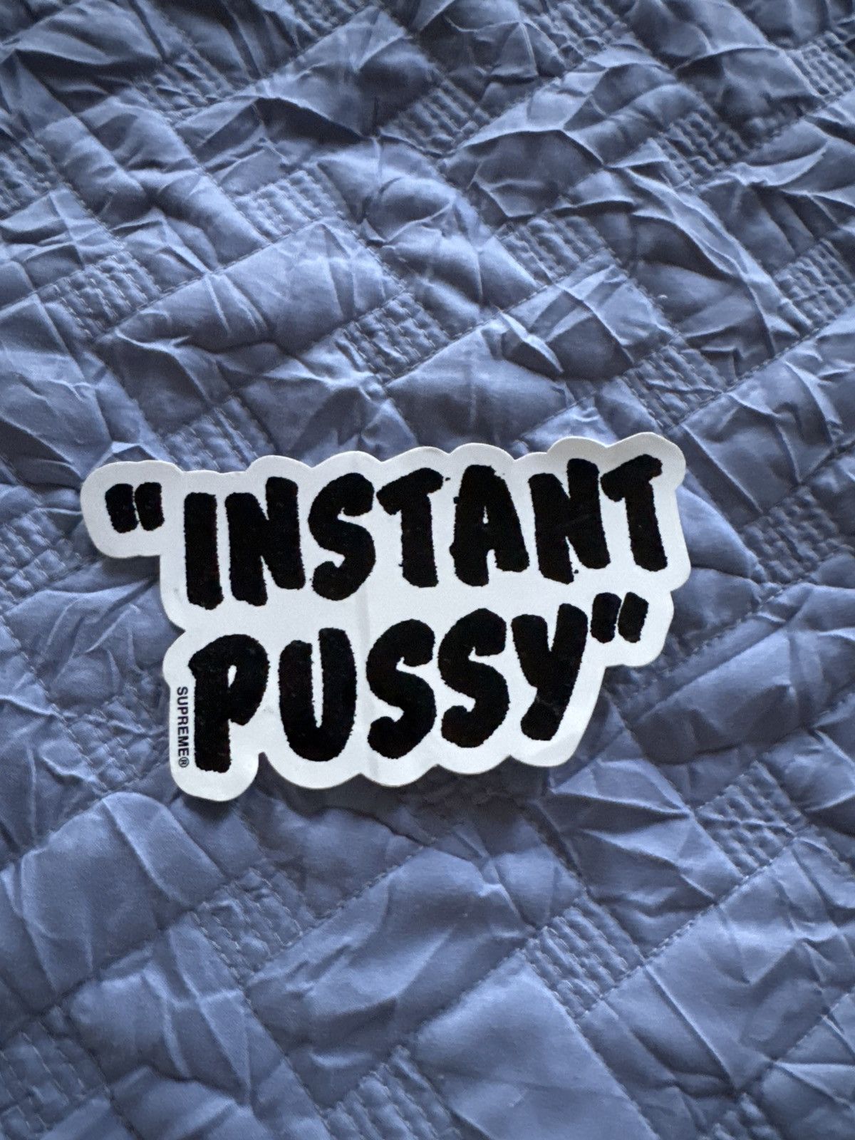 Supreme SUPREME INSTANT PUSSY STICKER Size ONE SIZE - 1 Preview