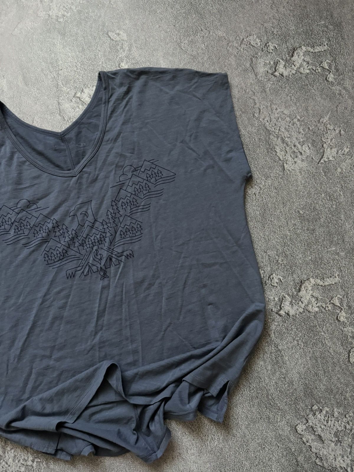 Icebreaker Icebreaker XL Wmns big logo tee T-shirt blouse tank merino Size XL / US 12-14 / IT 48-50 - 3 Thumbnail