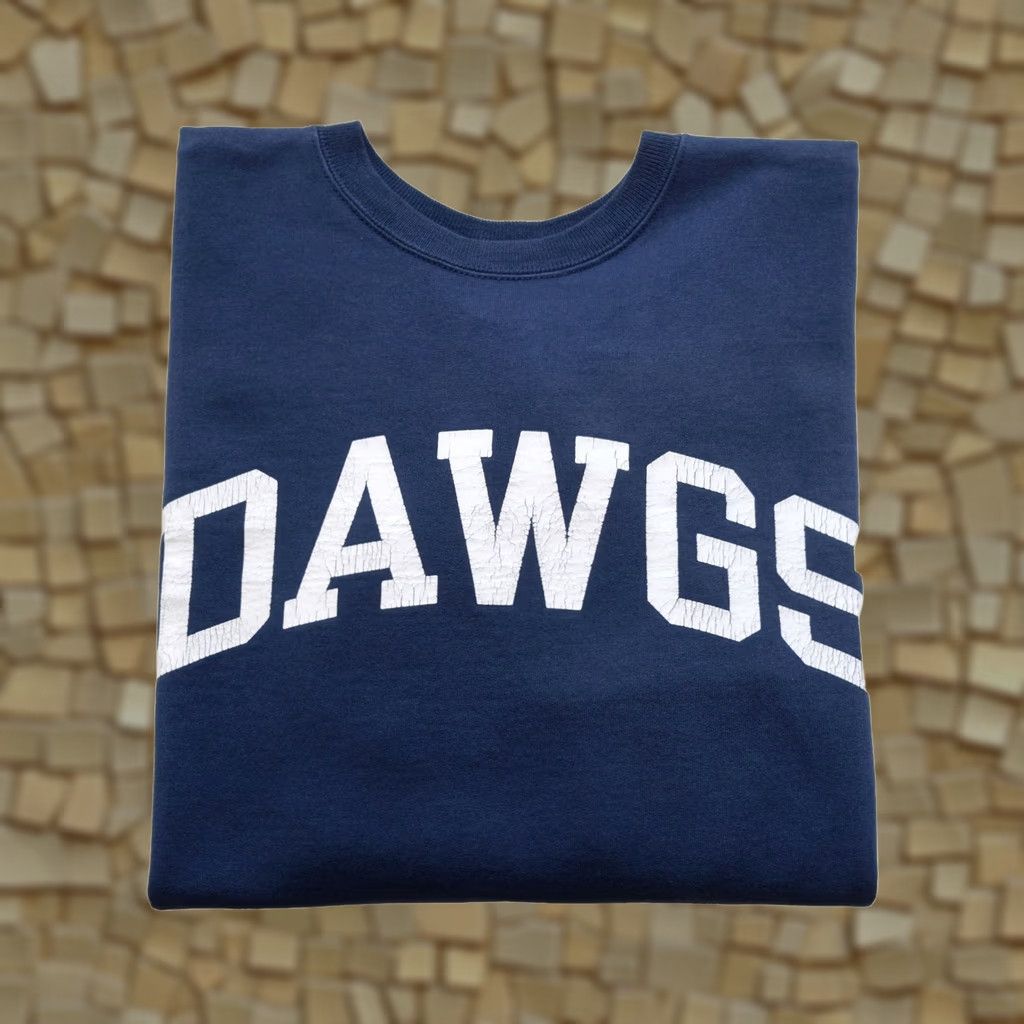 Champion VINTAGE Champion Sweatshirt 90s Blue Crewneck Pullover Raglan Logo Men L Size US L / EU 52-54 / 3 - 1 Thumbnail