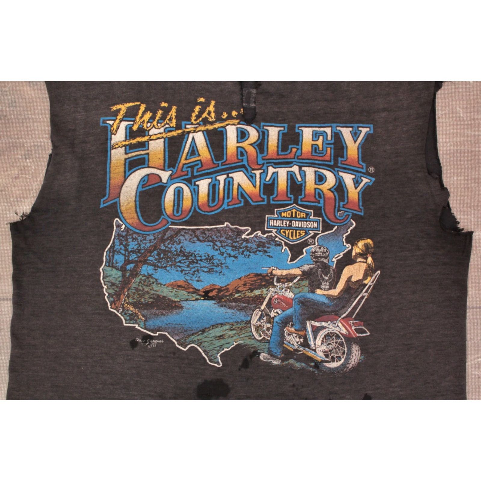 Vintage VINTAGE Men's VTG 80s 3D Emblem Harley Country Motorcycle Sleeveless TShirt Davidson Shirt Mens Black 38 80s T-Shirt Graphics Size US M / EU 48-50 / 2 - 5 Thumbnail