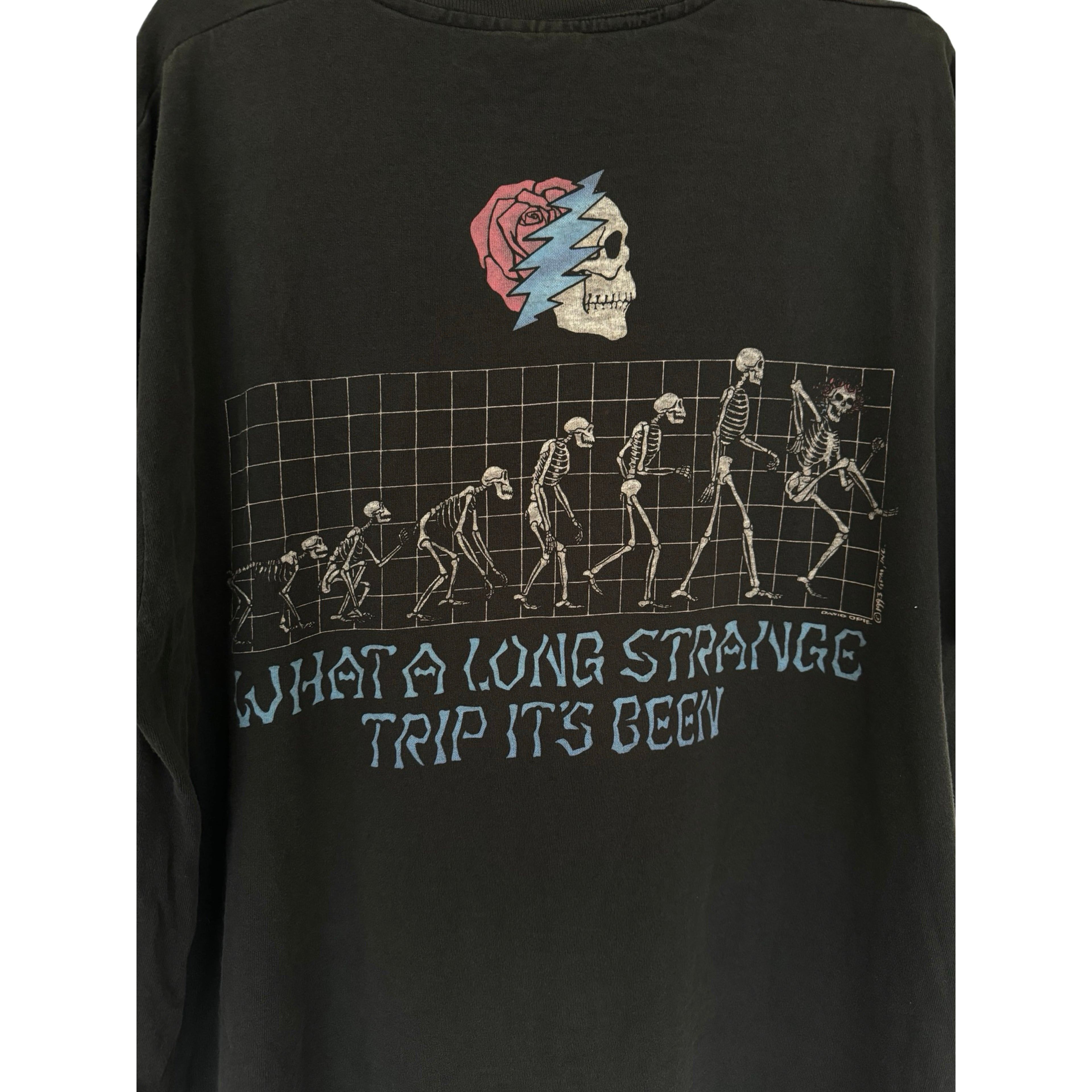 Grateful Dead Strange Trip 1993
