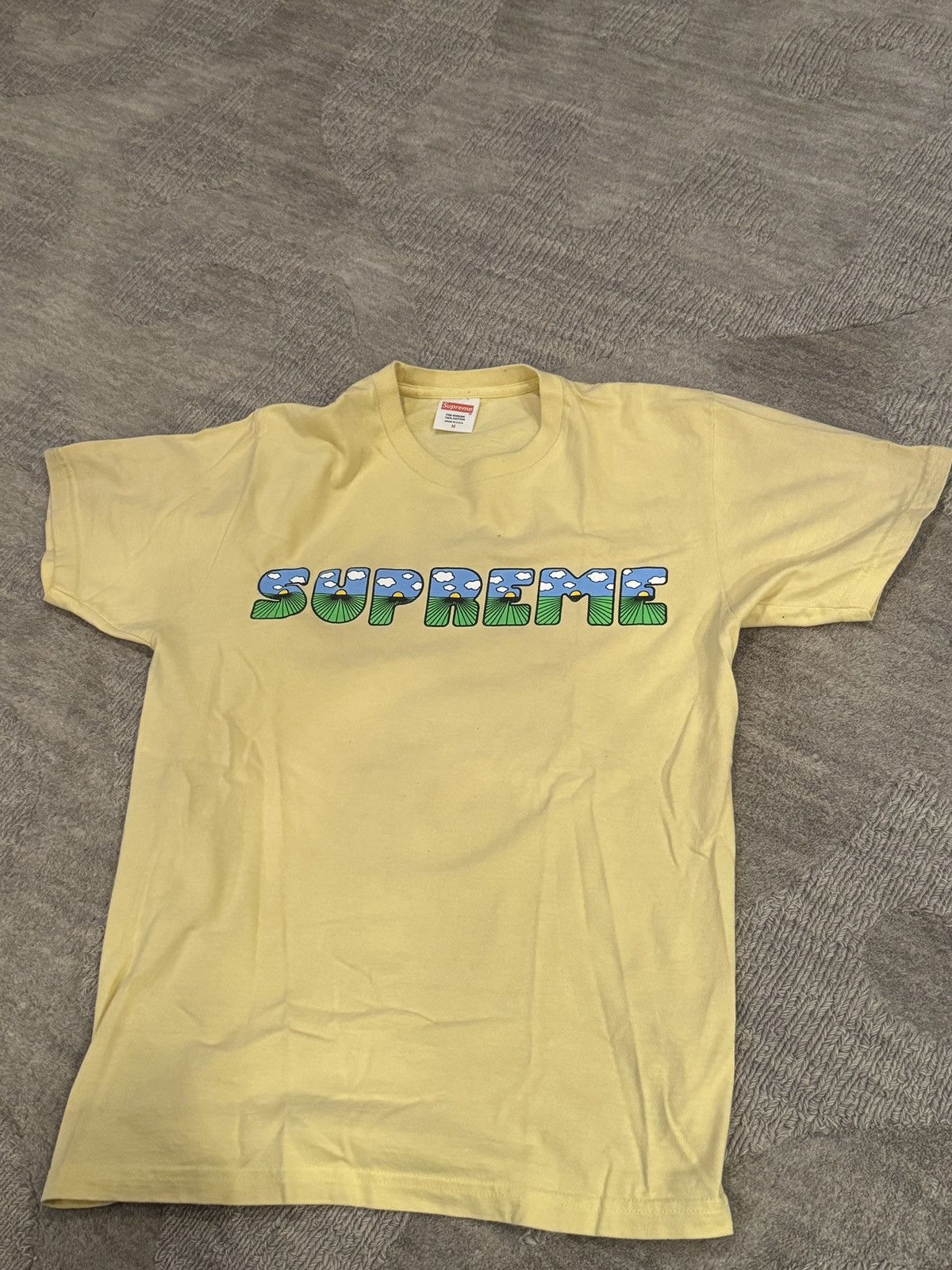 Supreme Supreme This Is The Shit Shirt Size US M / EU 48-50 / 2 - 2 Thumbnail