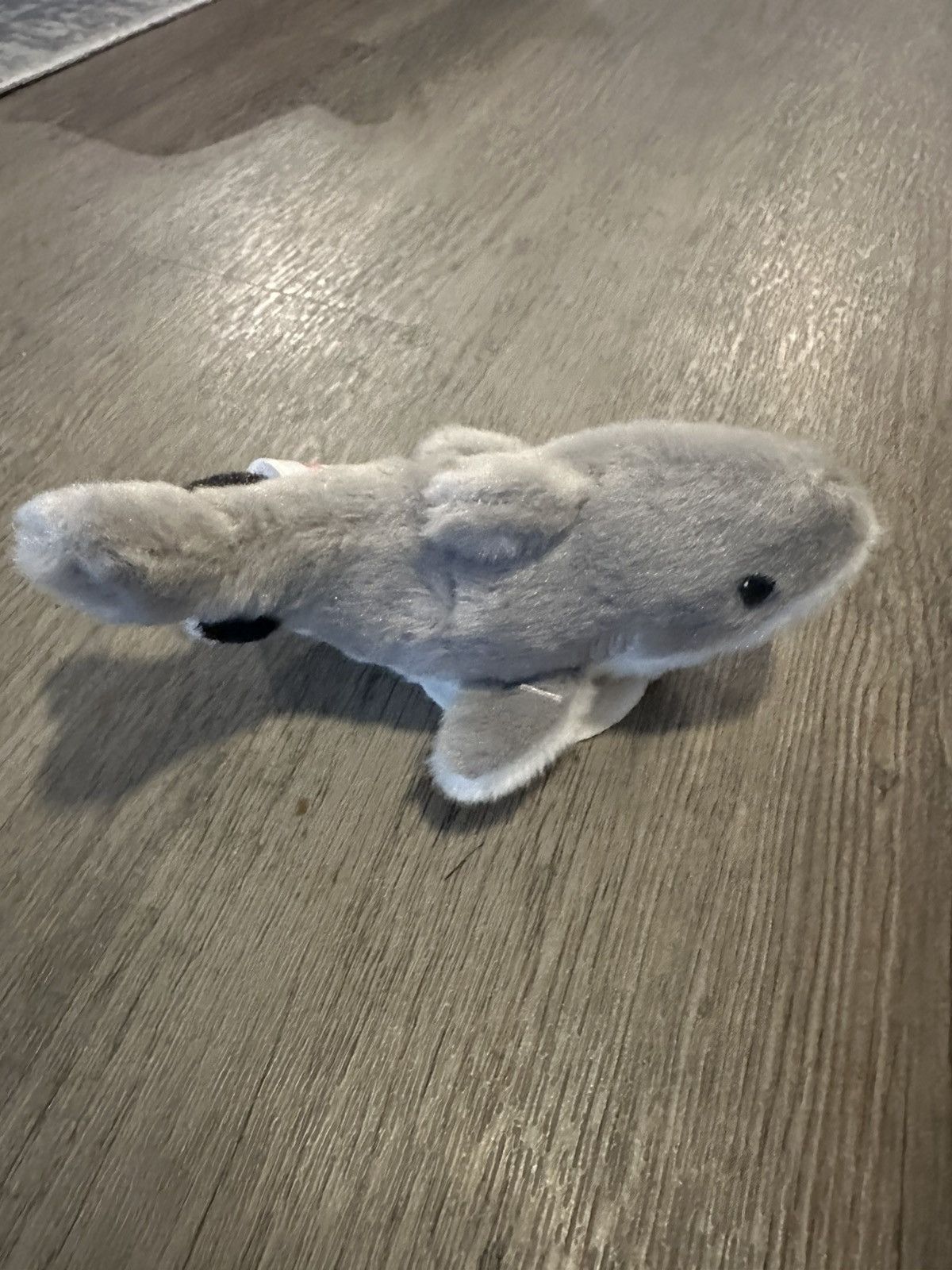 Other Gray baby shark shoulder plush used once Size ONE SIZE - 5 Thumbnail