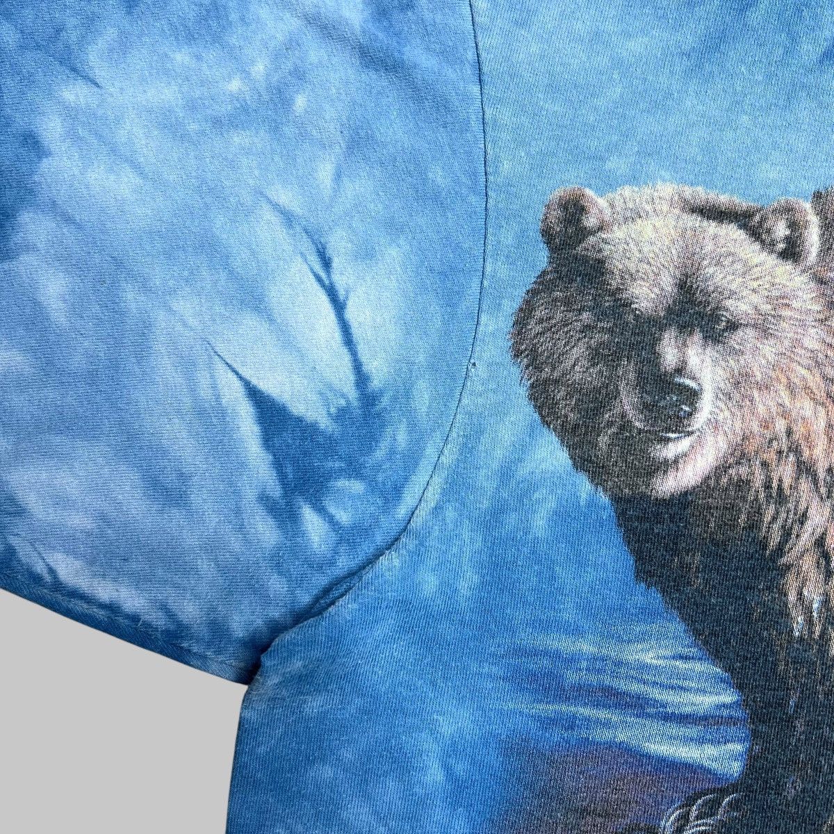 The Mountain × Vintage Vintage 2001 Brown Bears Nature The Mountain Graphic Tee Size US M / EU 48-50 / 2 - 5 Thumbnail