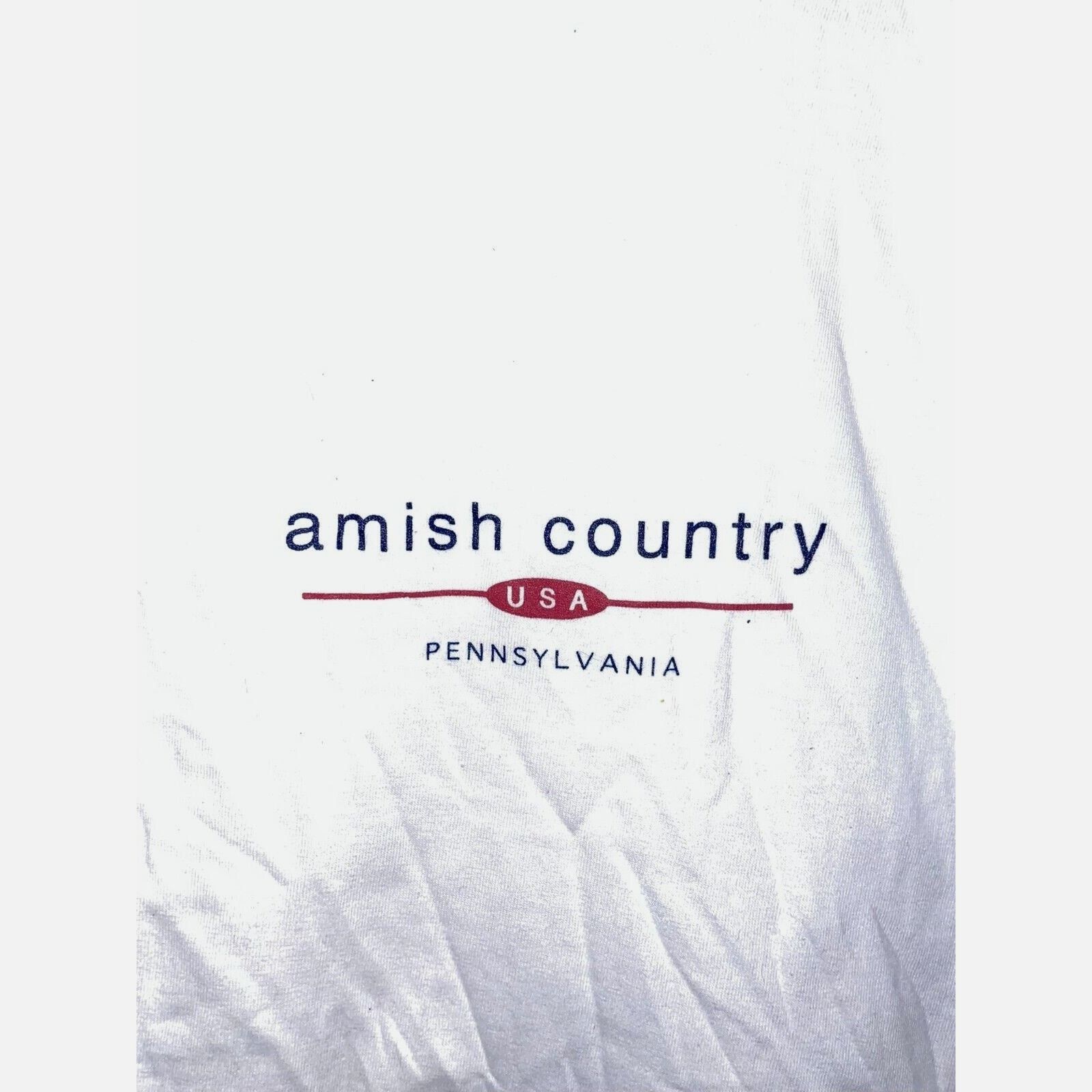 Jerzees Vintage Amish Country Anvil USA Graphic White M Shirt 1990s Size US M / EU 48-50 / 2 - 2 Thumbnail