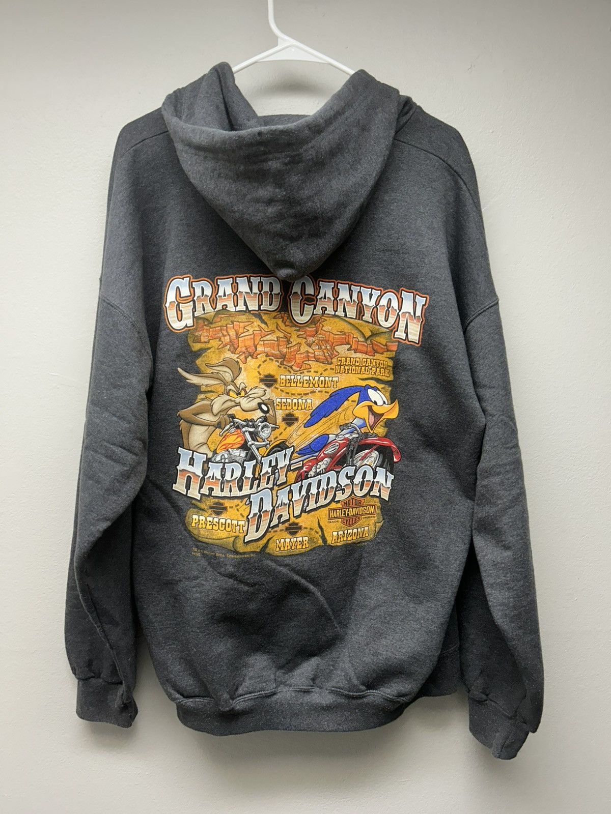Harley Davidson Harley Davidson Road Runner Grand Canyon Zip Up Hoodie Size US XL / EU 56 / 4 - 1 Thumbnail