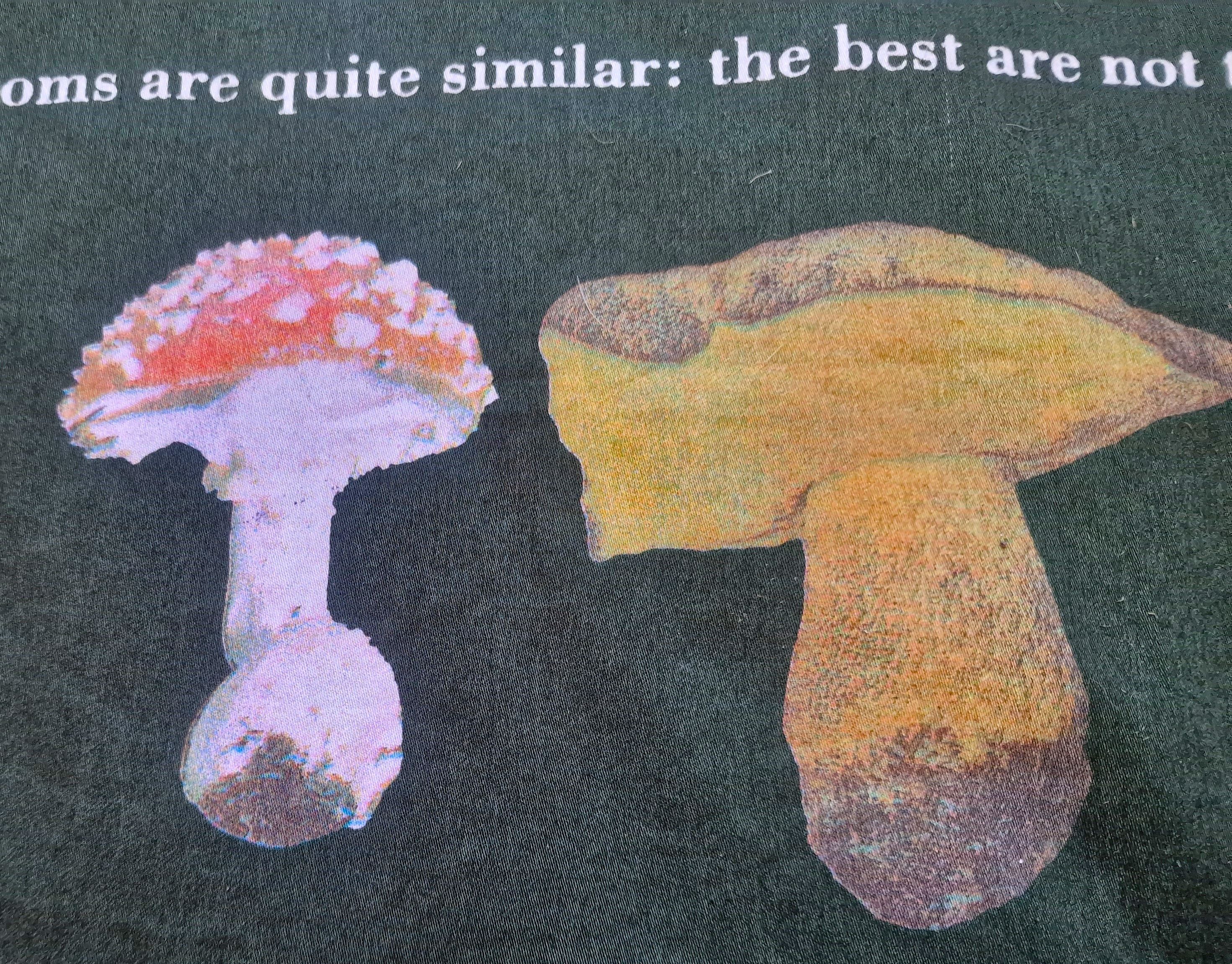 Moschino Moschino Mushroom Brown Weird Funny XL Tee Shirt T-shirt Size US XL / EU 56 / 4 - 9 Thumbnail